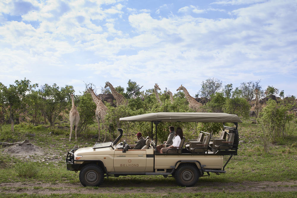 Game Drives