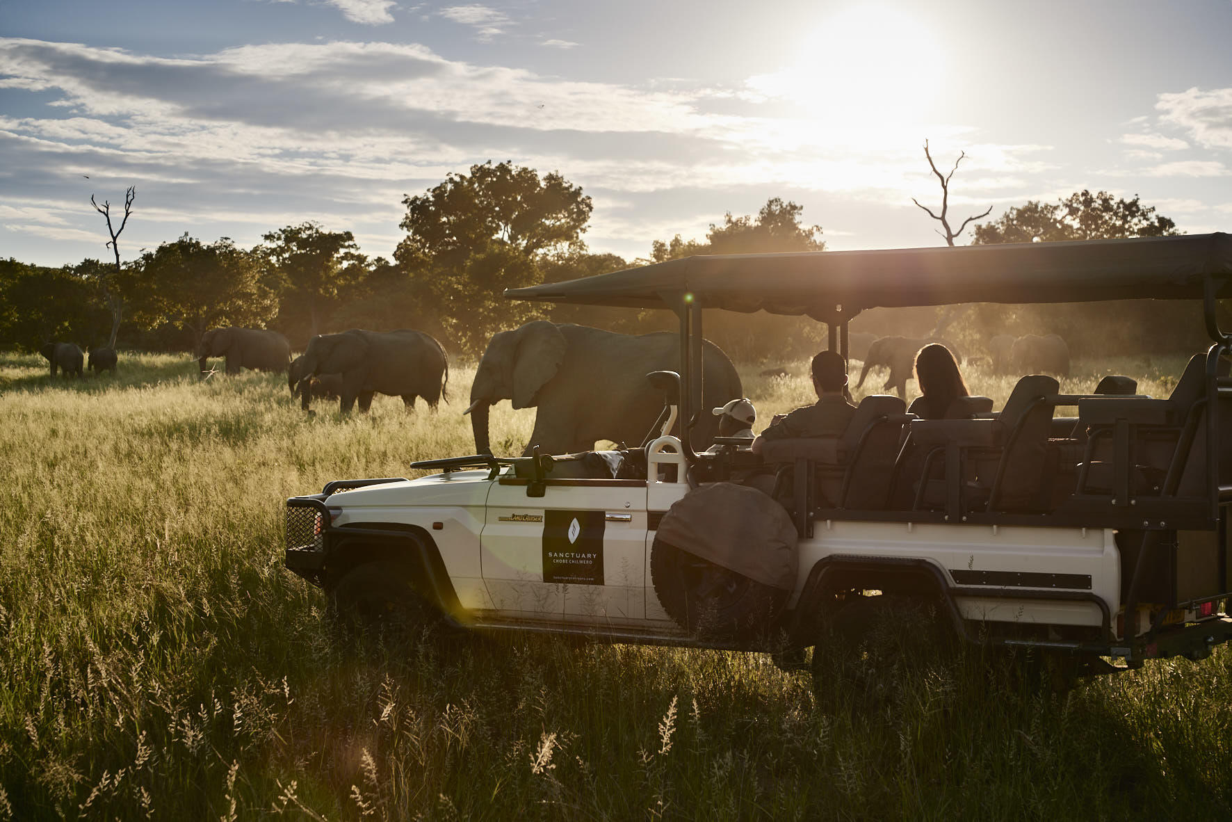 Game Drives gallery image 2