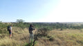 Walking Safaris  gallery image 1