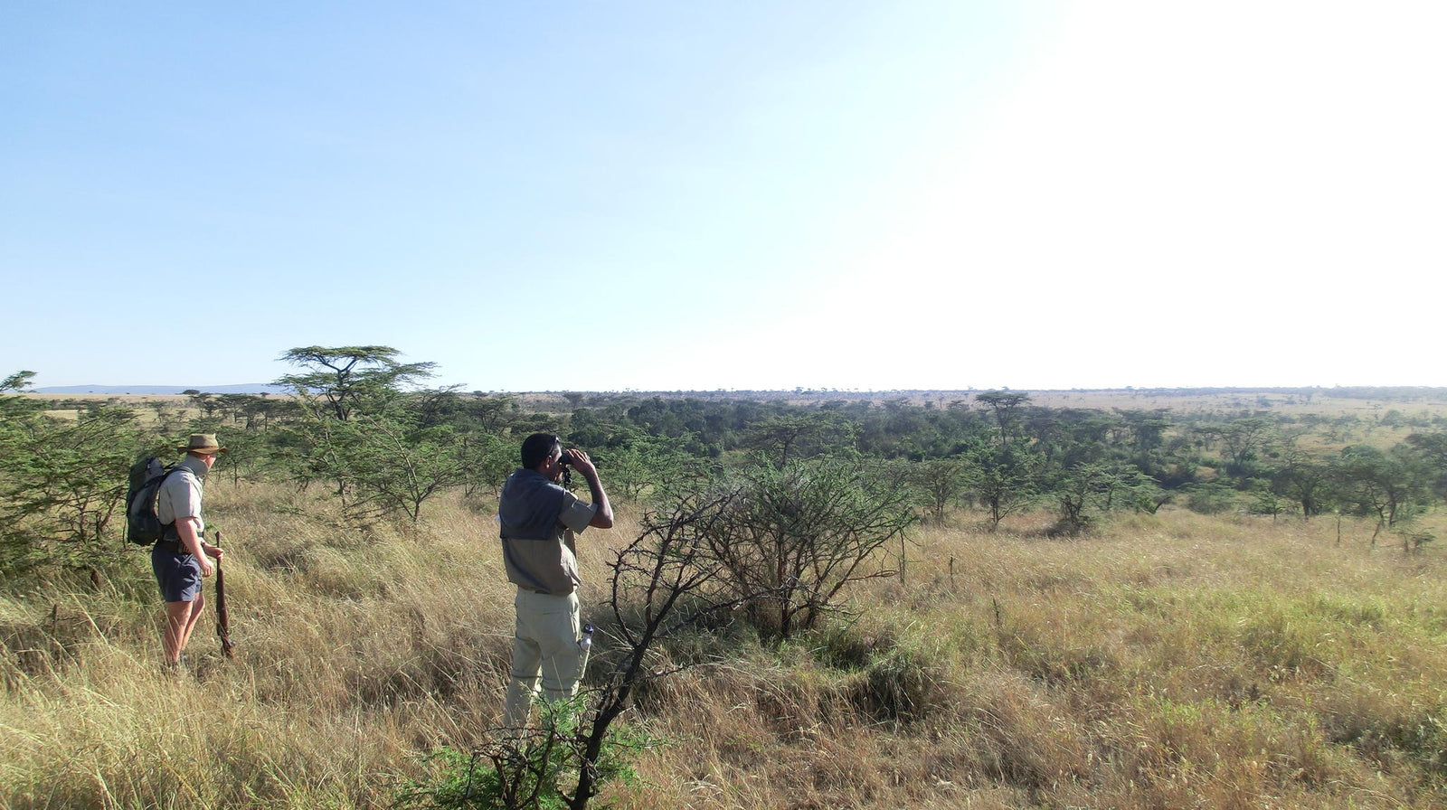 Walking Safaris