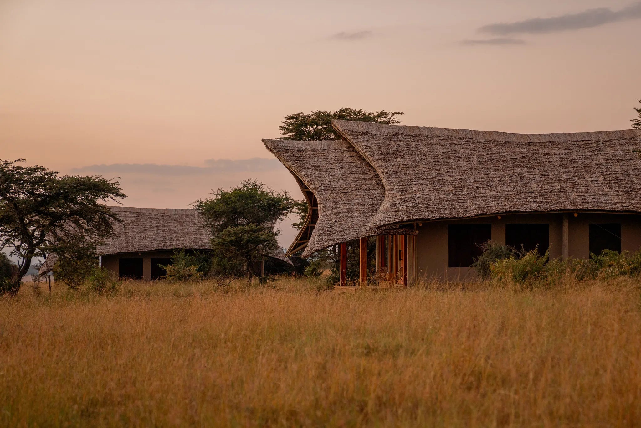 Naboisho Camp - Tent Exteriors at Naboisho, Mara Naboisho Conservancy, Kenya.