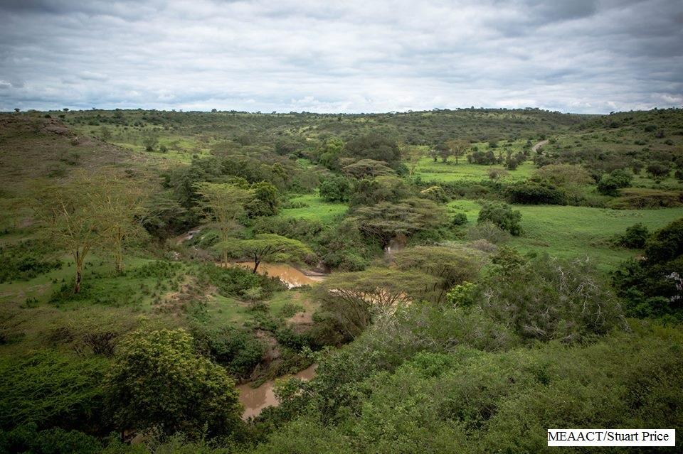Experiences Whilst Staying at Nairobi Tented Camp gallery image 3