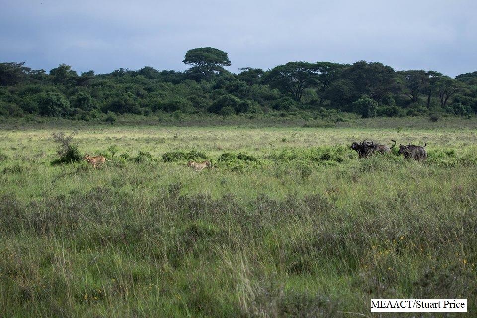 Experiences Whilst Staying at Nairobi Tented Camp gallery image 5