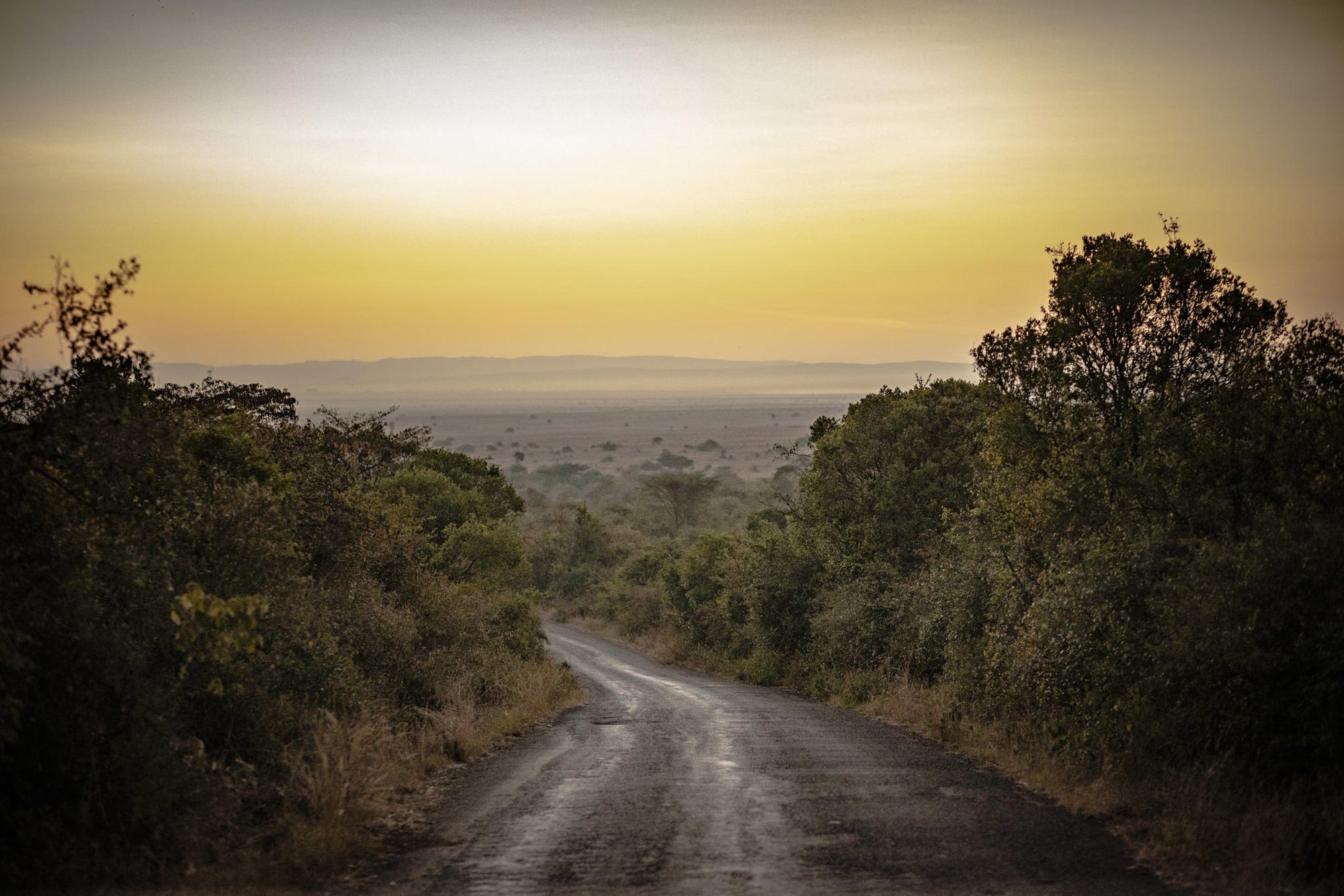 Experiences Whilst Staying at Nairobi Tented Camp gallery image 6