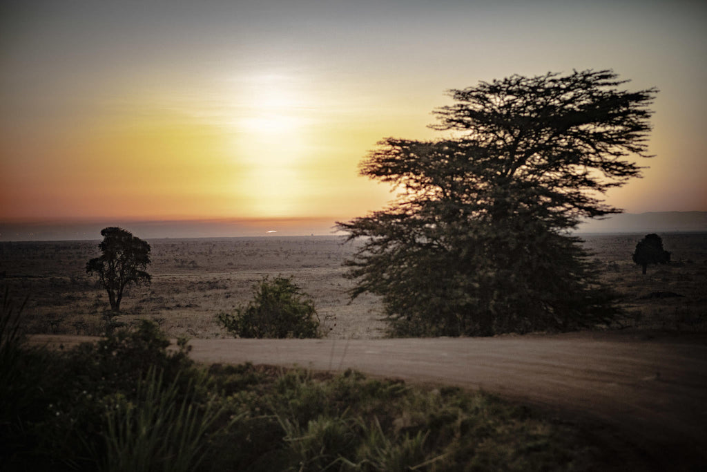 Experiences Whilst Staying at Nairobi Tented Camp gallery image 2