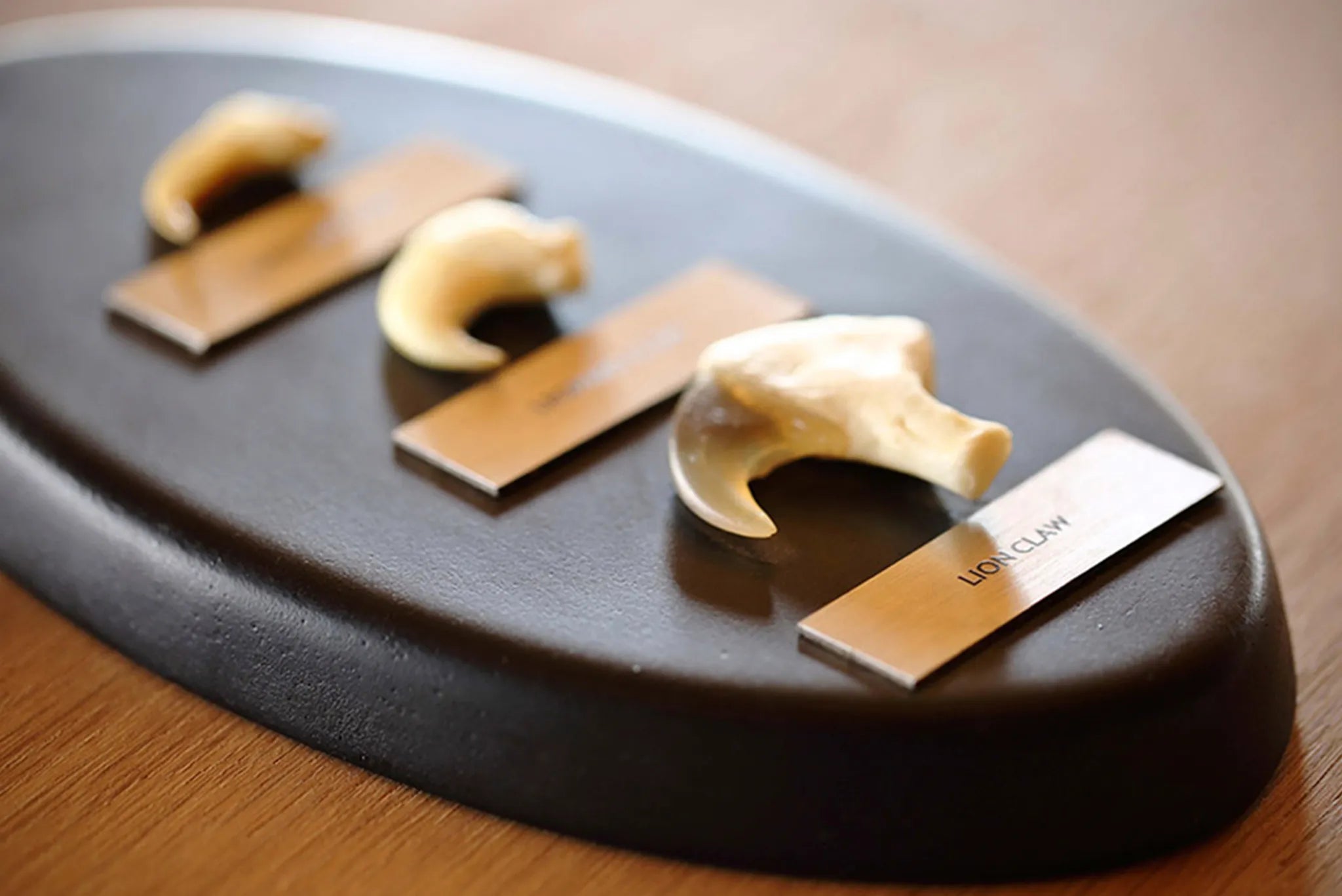 Namiri Plains - The Den Claws at Namiri Plains Camp, Eastern Serengeti, Tanzania.