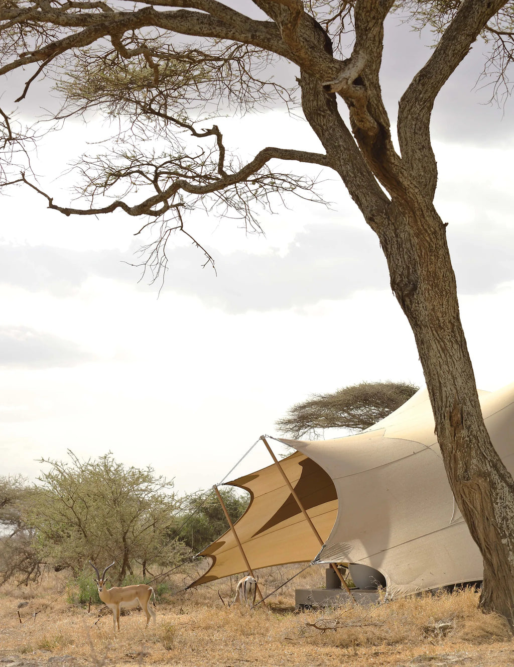 Namiri Plains - Views at Namiri Plains Camp, Eastern Serengeti, Tanzania.