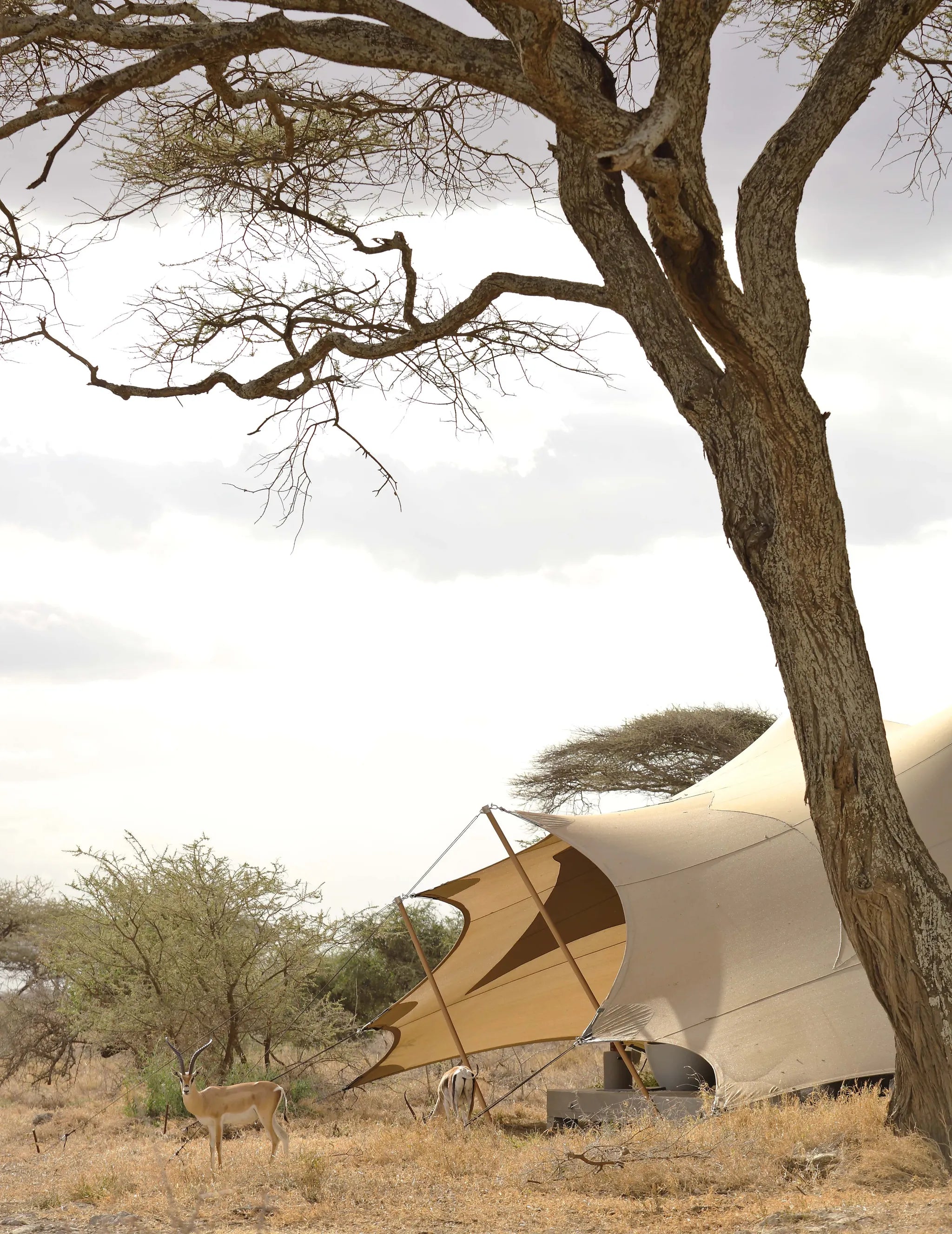 Namiri Plains - Views at Namiri Plains Camp, Eastern Serengeti, Tanzania.