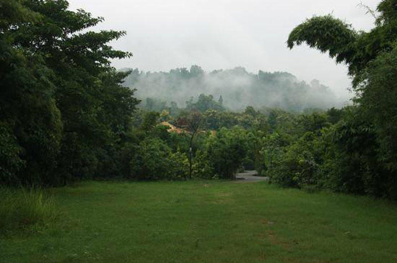 Nature Walks