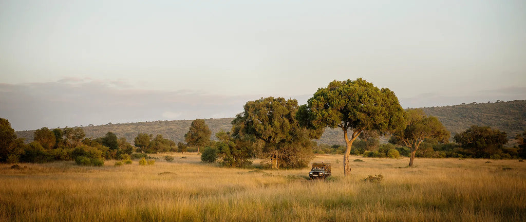 Morning Coffee at Ngare Serian, Mara North Conservancy, Kenya.