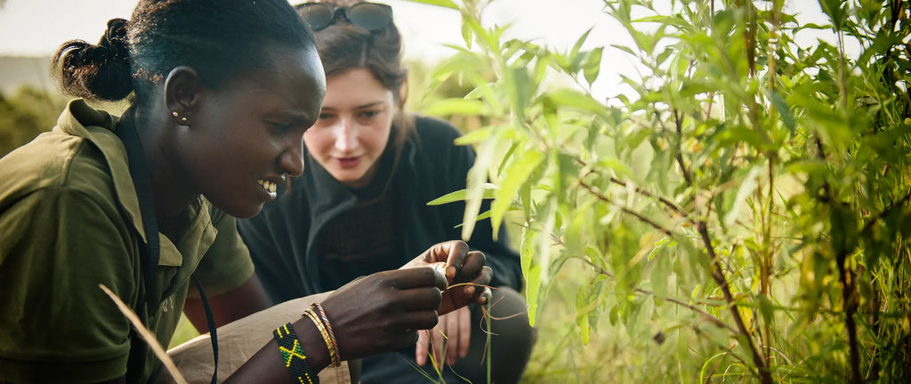A walking safari at Ngare Serian, Mara North Conservancy, Kenya.