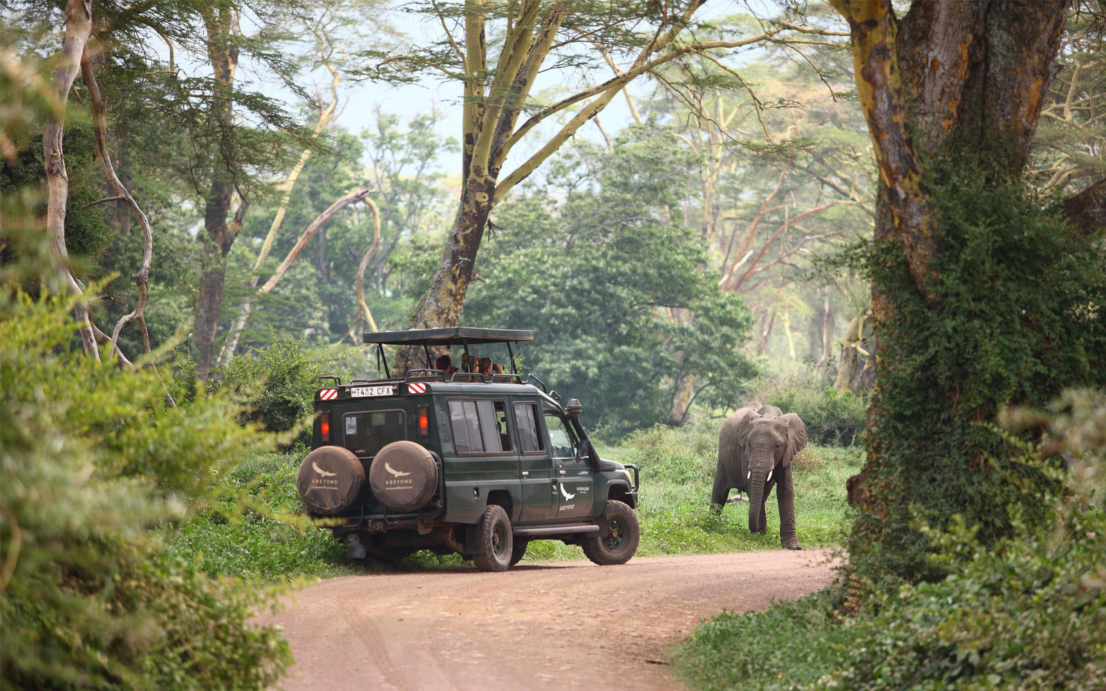 Game Drives (Included)