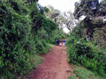 Empakai Crater Hike (Additional Cost) gallery image 1