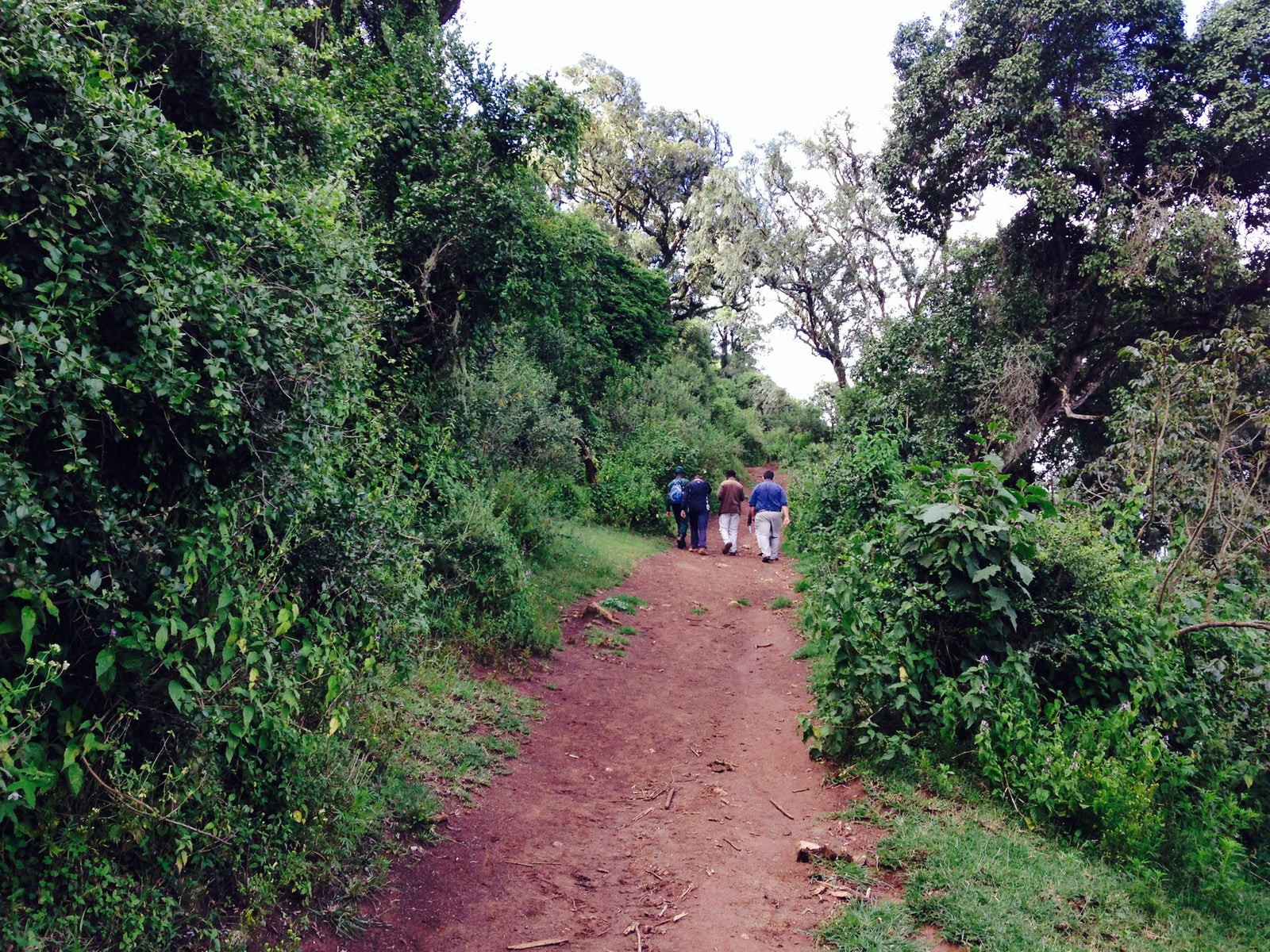 Empakai Crater Hike (Additional Cost)