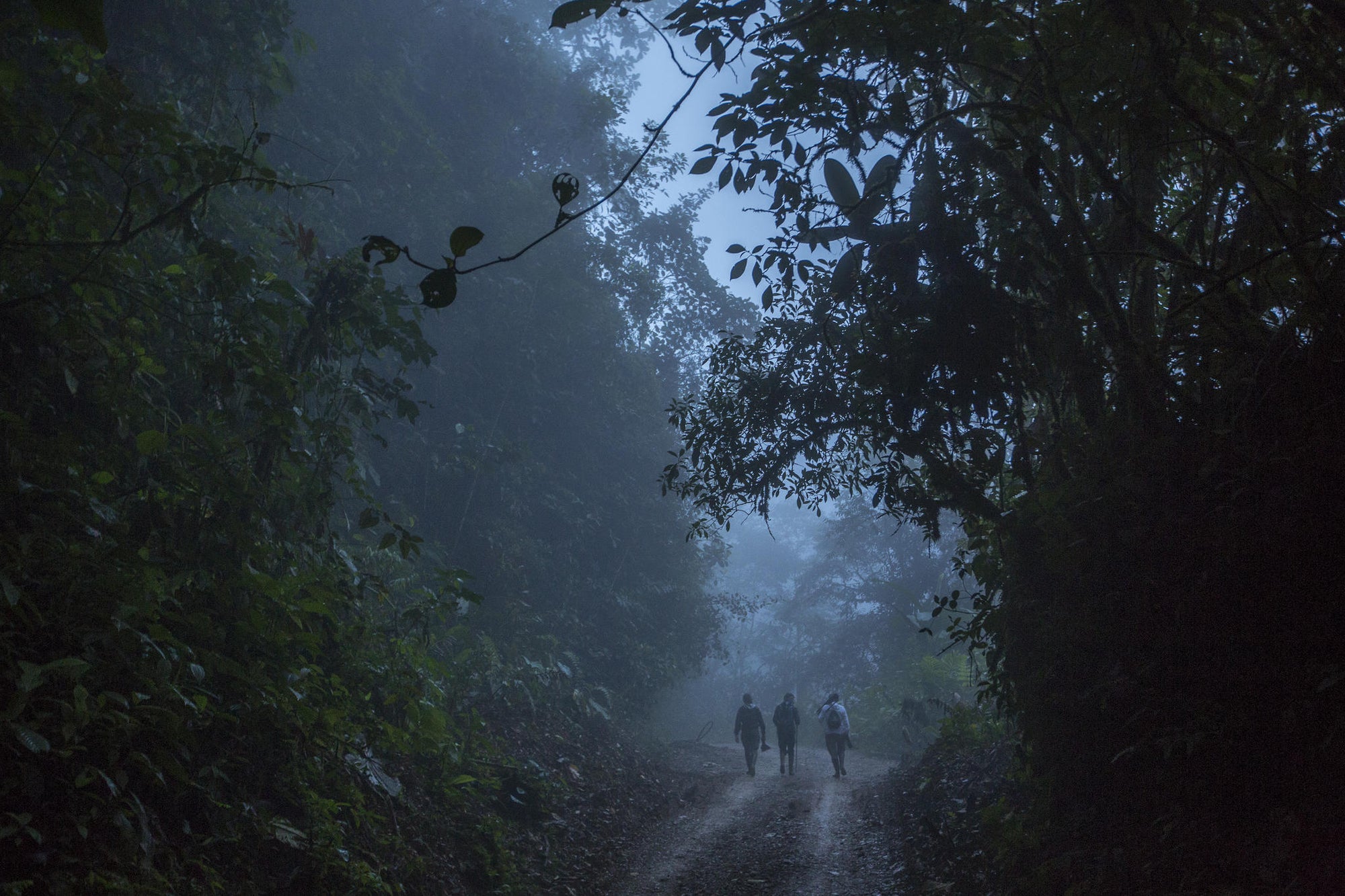 Mashpi Lodge Night Walk I gallery image 1