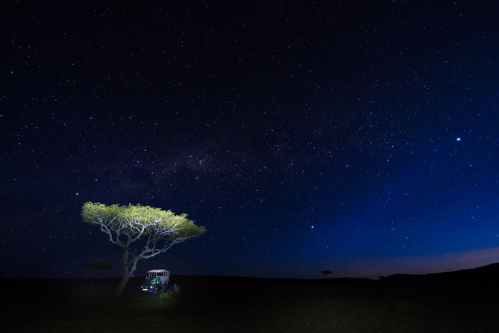 Safari & Wildlife