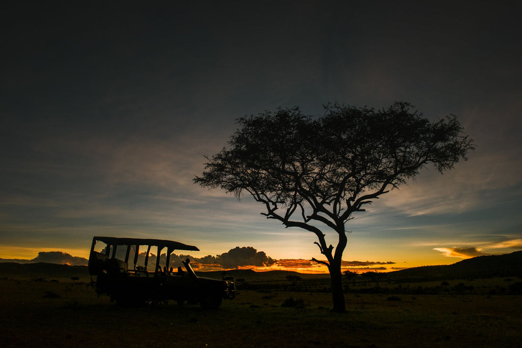 Safari & Wildlife