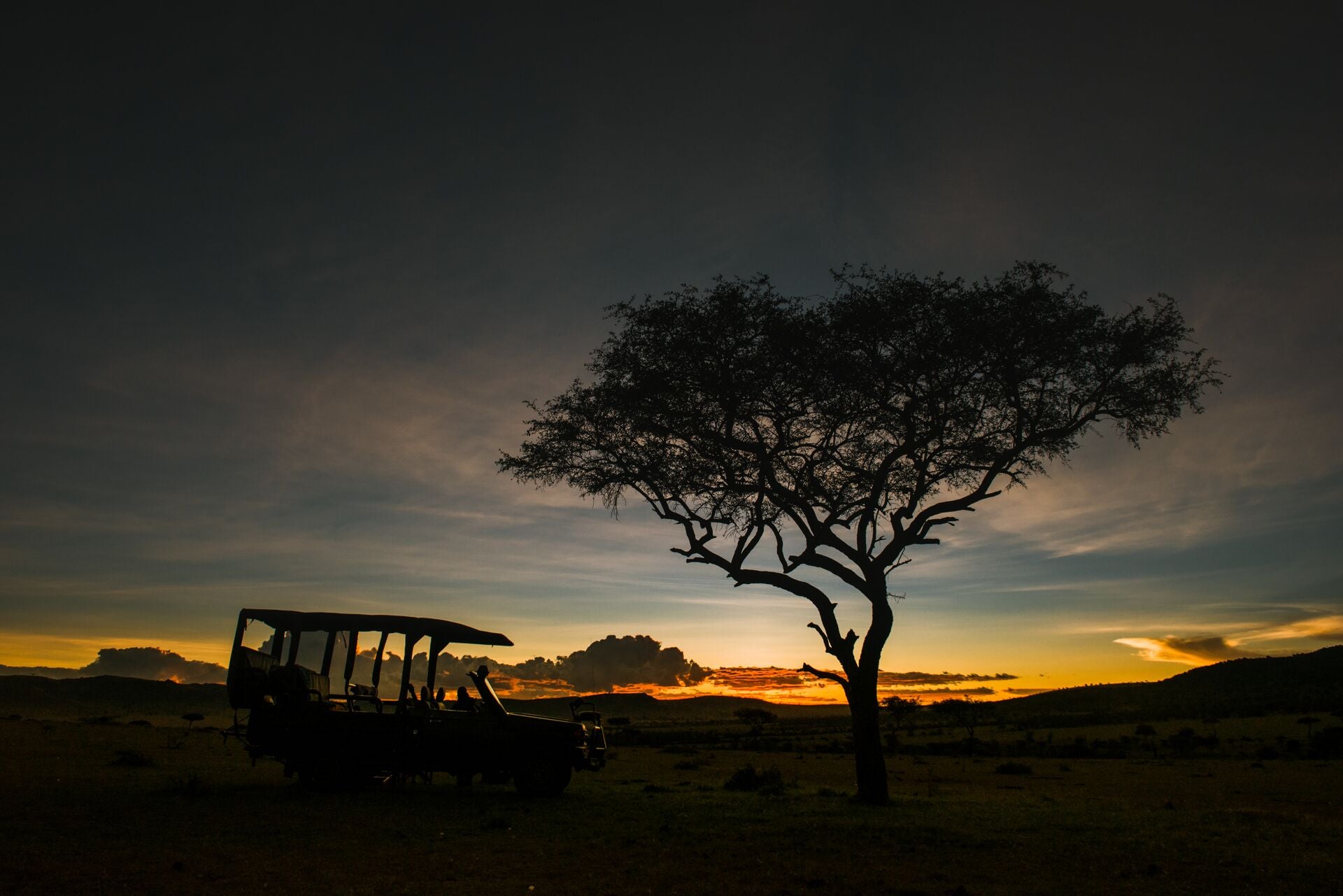 Safari & Wildlife