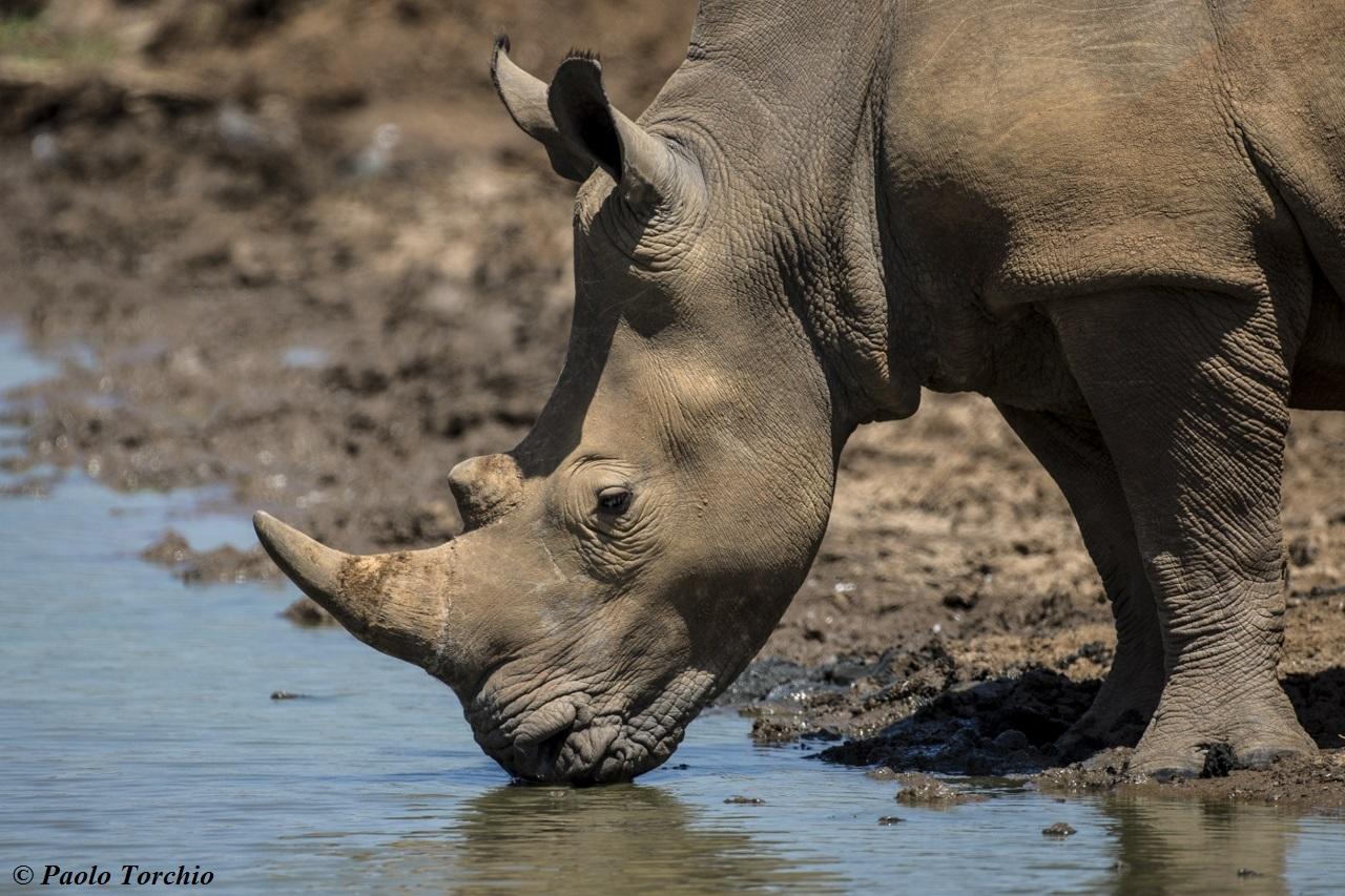Experiences Whilst Staying at Nairobi Tented Camp gallery image 19
