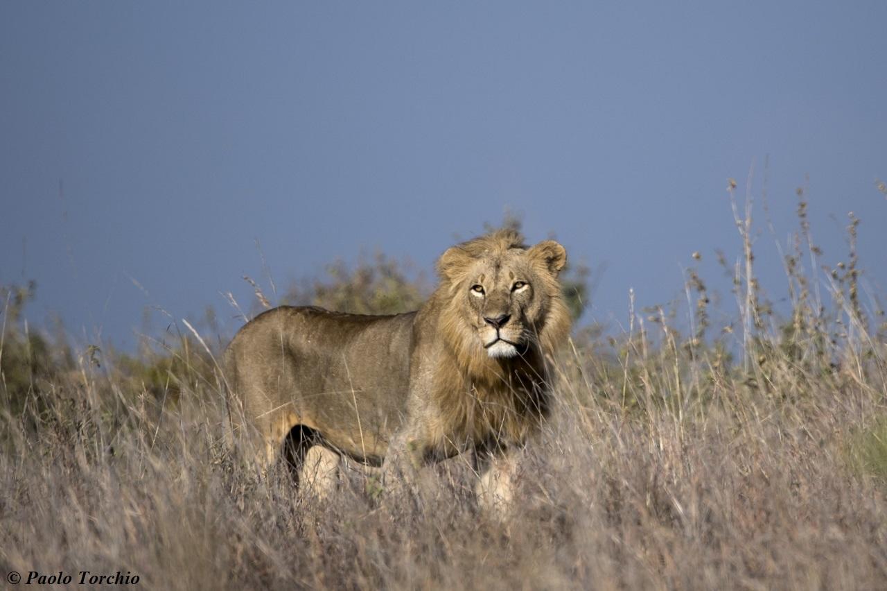 Experiences Whilst Staying at Nairobi Tented Camp gallery image 16