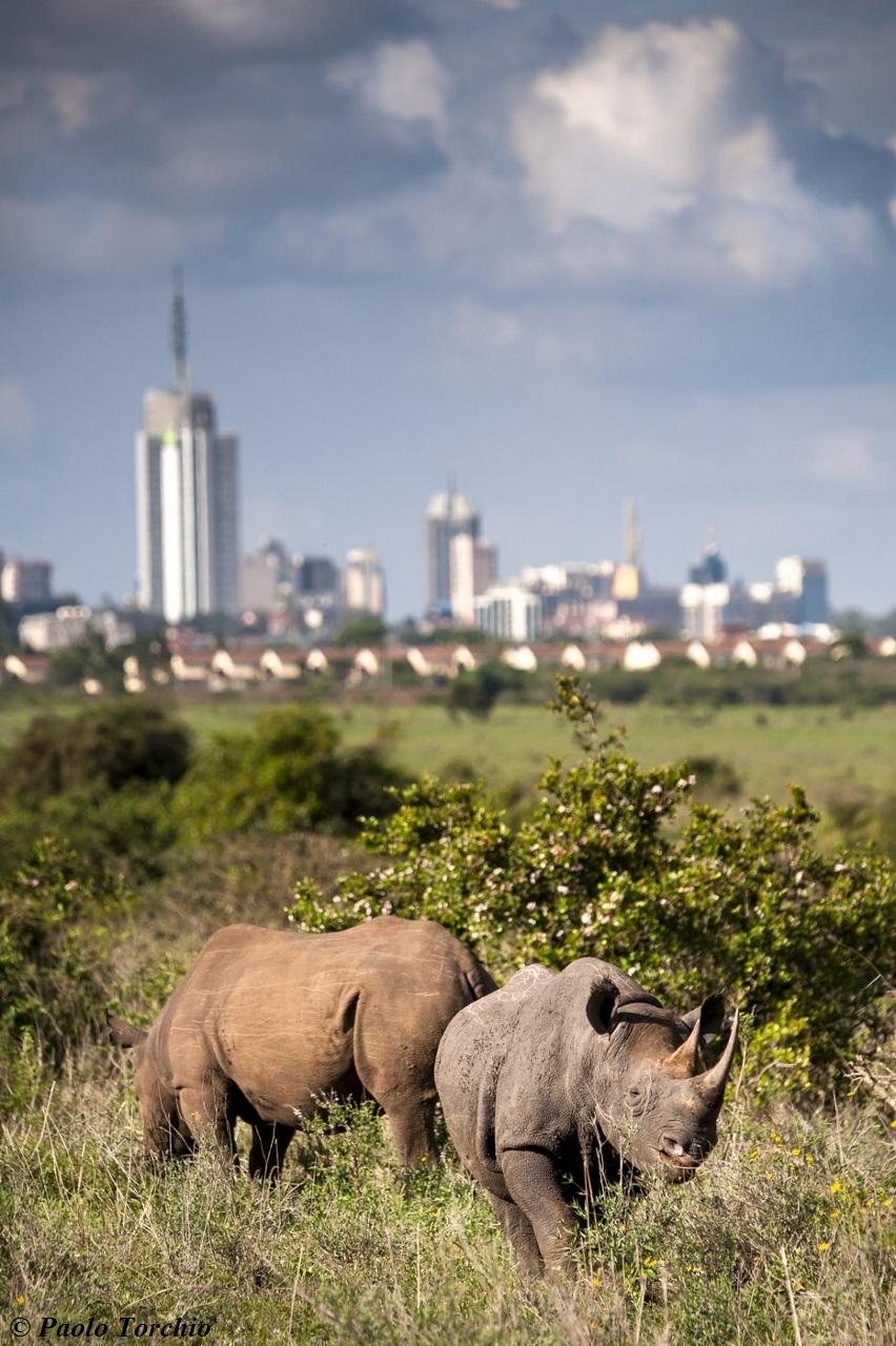 Experiences Whilst Staying at Nairobi Tented Camp gallery image 9
