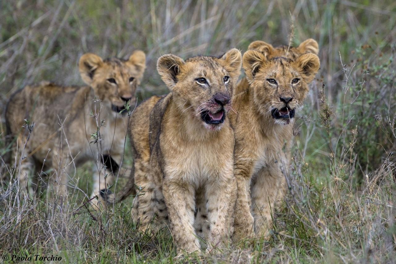 Experiences Whilst Staying at Nairobi Tented Camp gallery image 7
