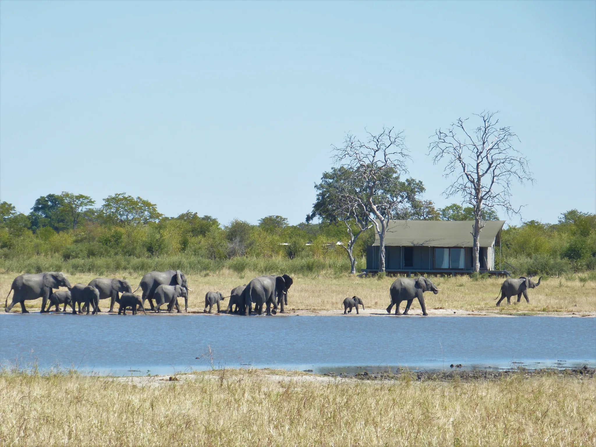 Nogatsaa Pans at Nogatsaa Pans Chobe Lodge, Nogatsaa - Chobe National Park, Botswana.