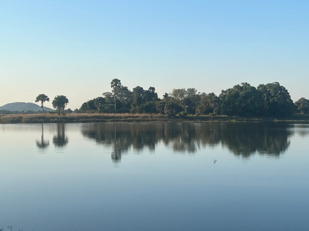 Expeditionary Walking Camp - Ugalla at Nomad Tanzania Expeditionary Walking Camp [Aug-Oct], Tanzania.