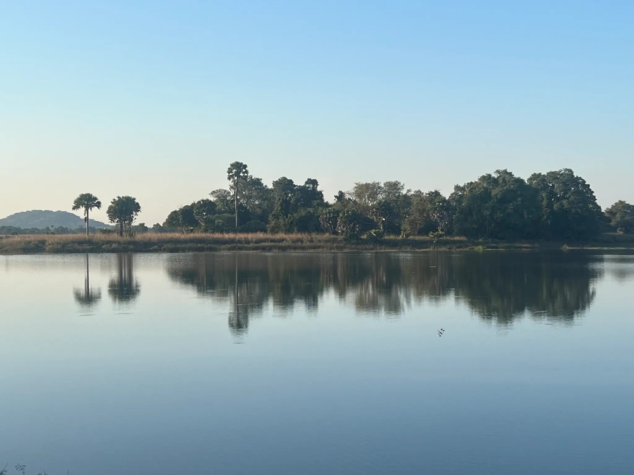 Expeditionary Walking Camp - Ugalla at Nomad Tanzania Expeditionary Walking Camp [Aug-Oct], Tanzania.