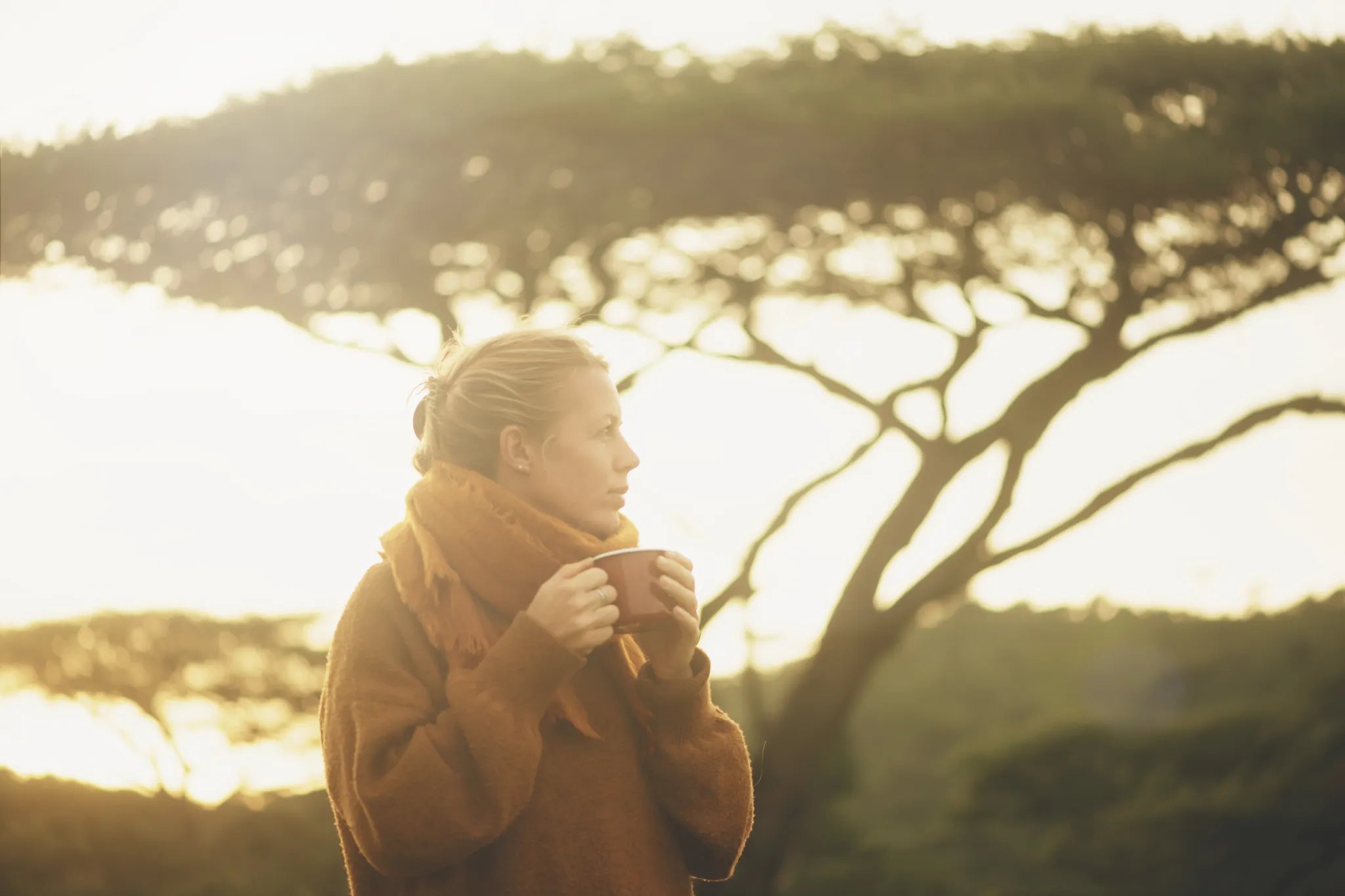 Crisp mornings on location (Serengeti pictured) at Nomad Tanzania Expeditionary Walking Camp [Jul-Oct] , Ruaha National Pa...