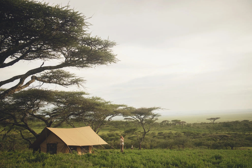 Expeditionary Walking Camp - Serengeti at Nomad Tanzania Expeditionary Walking Camp  [Nov-Jun] , Ikoma.