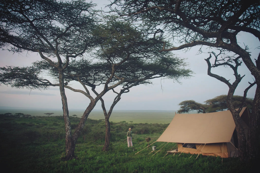 Expeditionary Walking Camp - Serengeti at Nomad Tanzania Expeditionary Walking Camp  [Nov-Jun] , Ikoma.