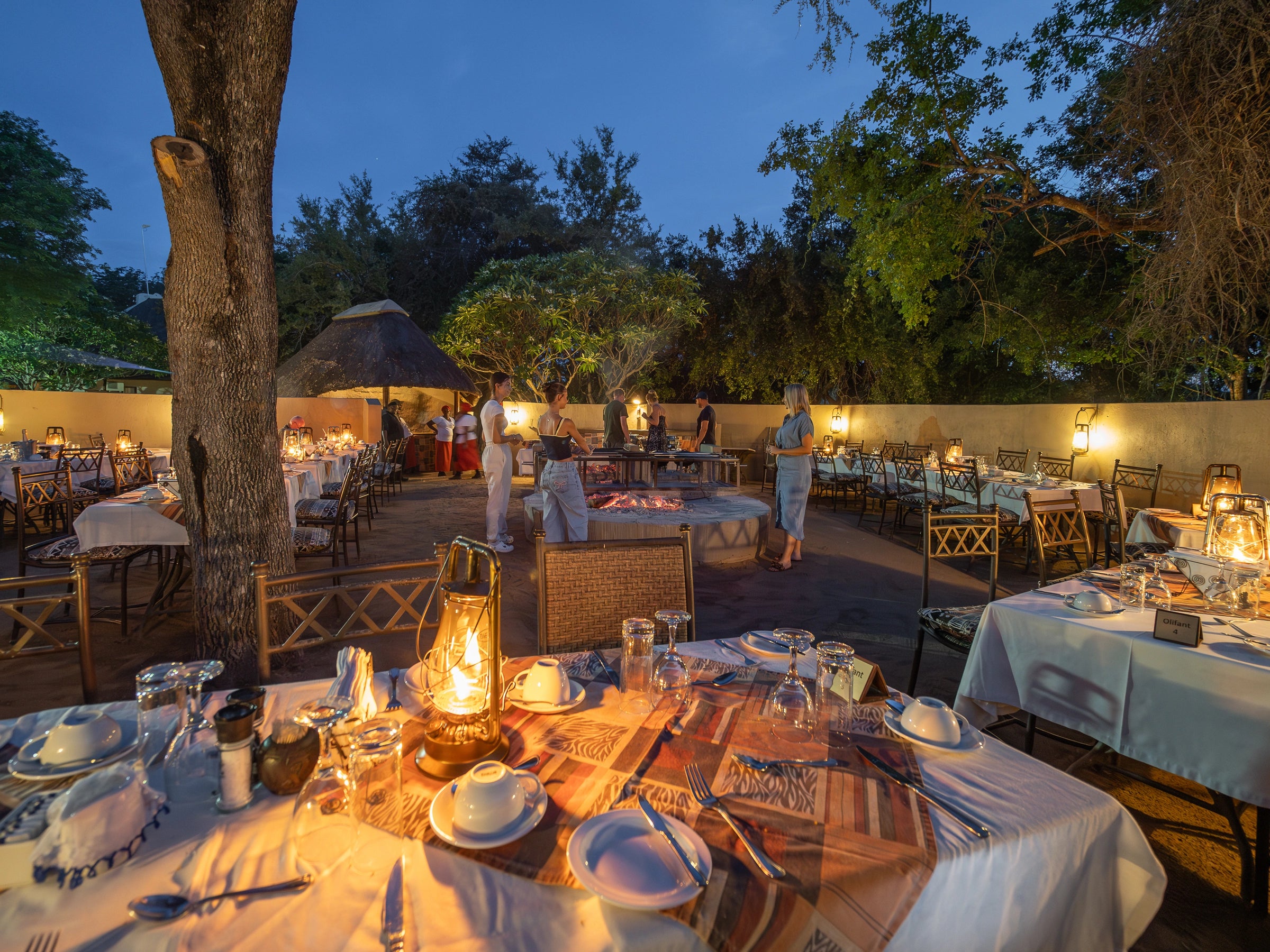 Nyati Safari Lodge