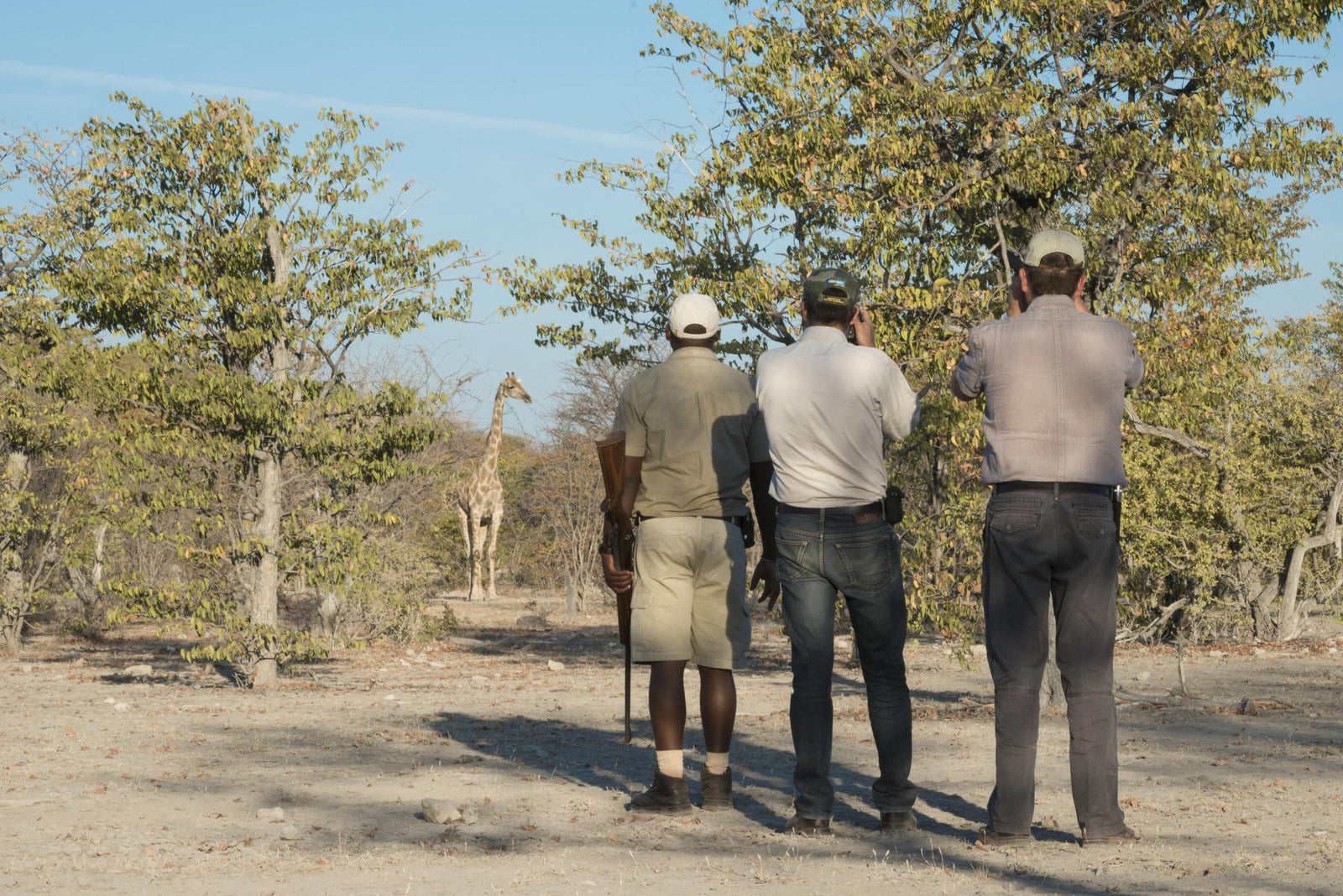 Anderssons at Ongava - Guided Nature Walks
