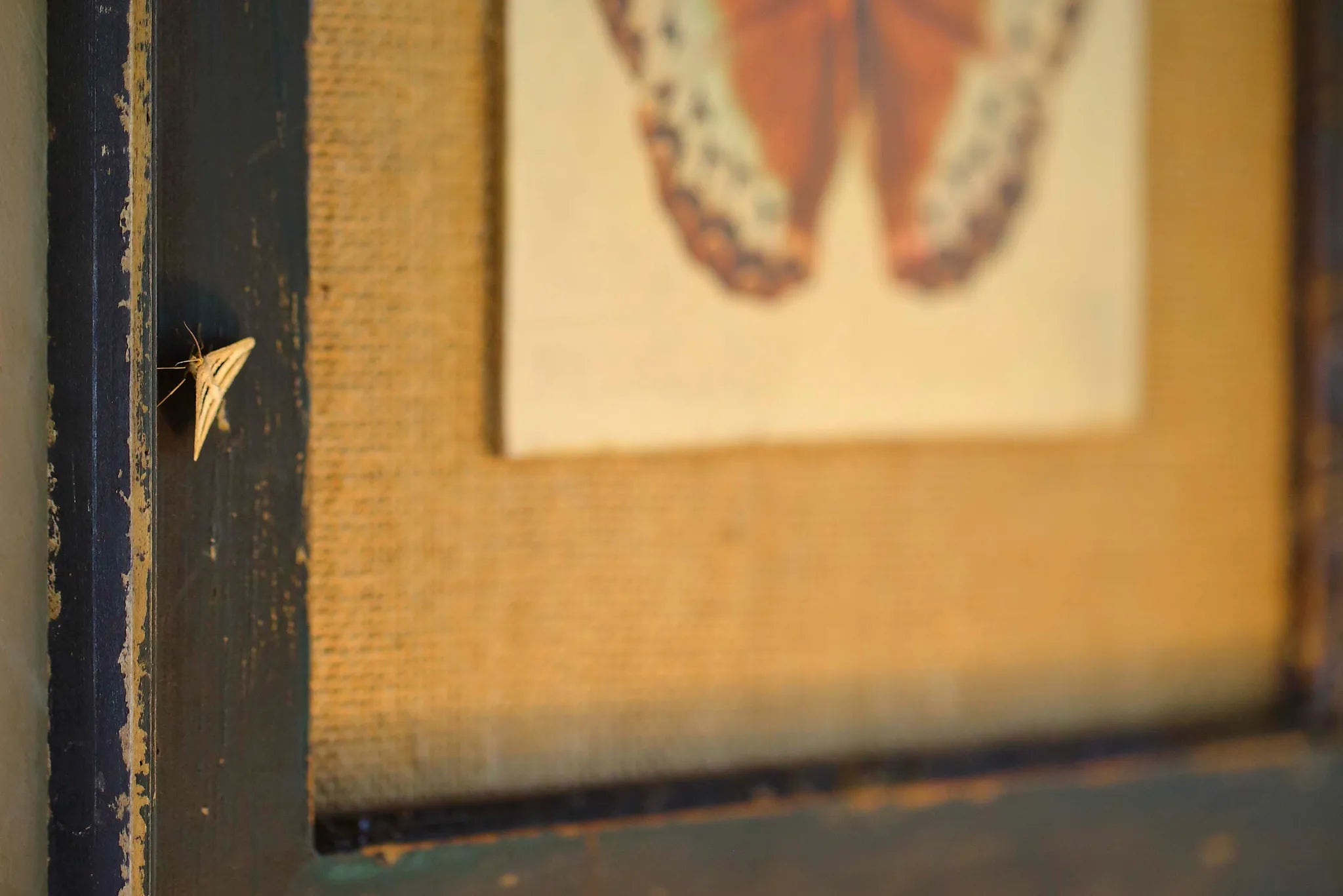 Asilia Ol Pejeta Bush Camp - Art Reflecting Real Life at Ol Pejeta Bush Camp, Ol Pejeta Conservancy, Kenya.