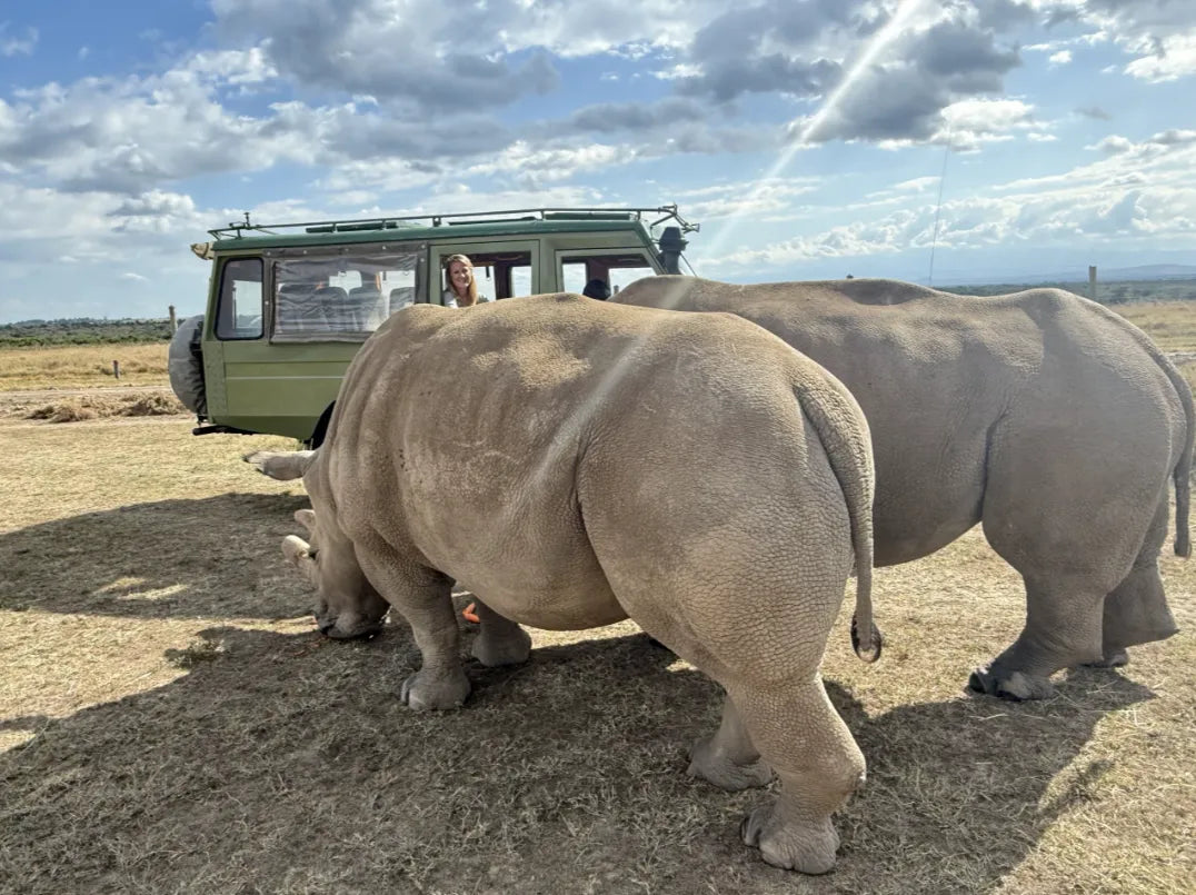Asilia Ol Pejeta Bush Camp - Rhino experience at Ol Pejeta Bush Camp, Ol Pejeta Conservancy, Kenya.