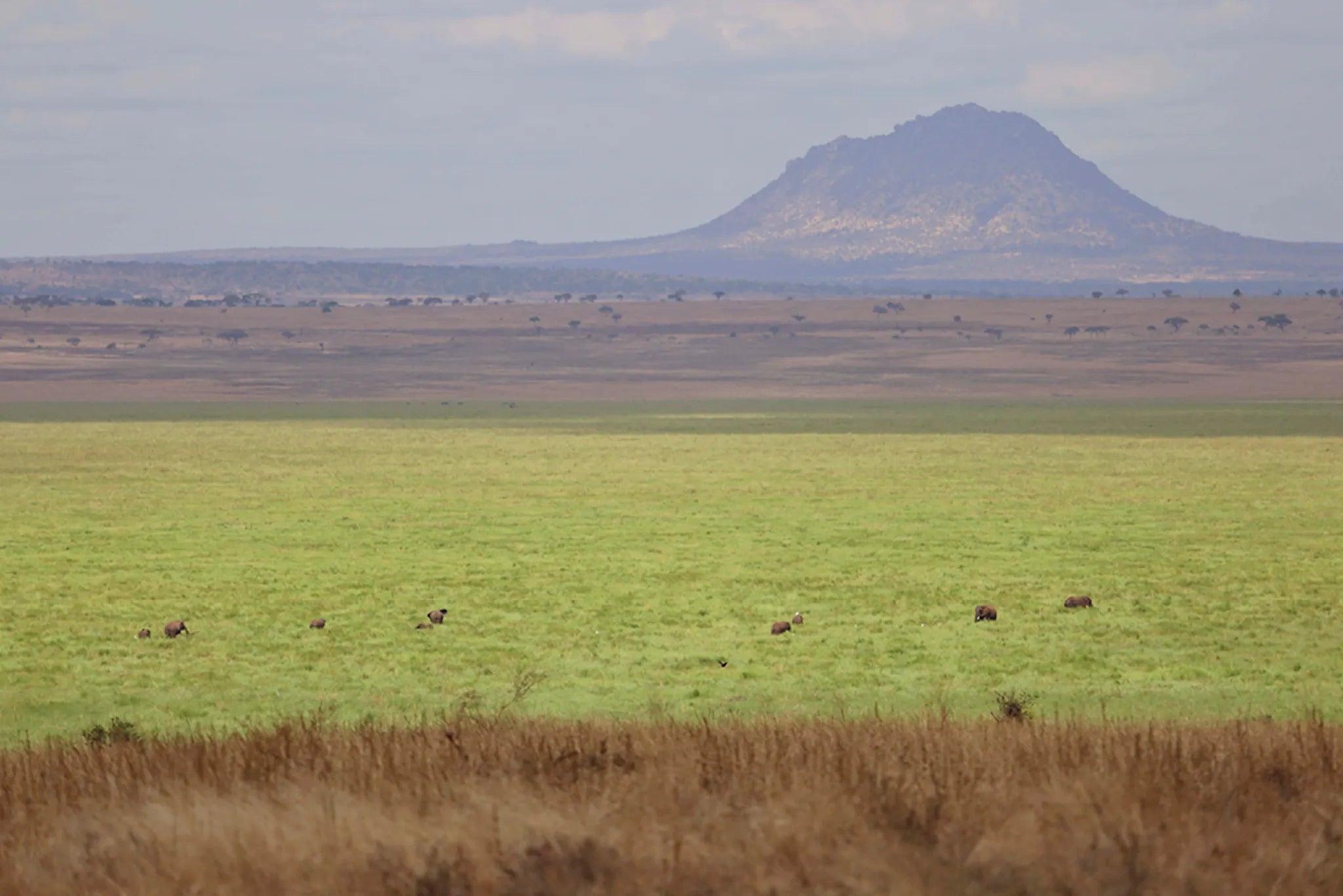 Oliver's - Views of Tarangire at Oliver's Camp, Tarangire National Park, Tanzania.