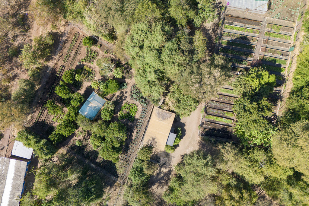 Onsite Organic Garden Tour gallery image 1