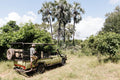 Game Drives in Gonarezhou National Park  gallery image 1