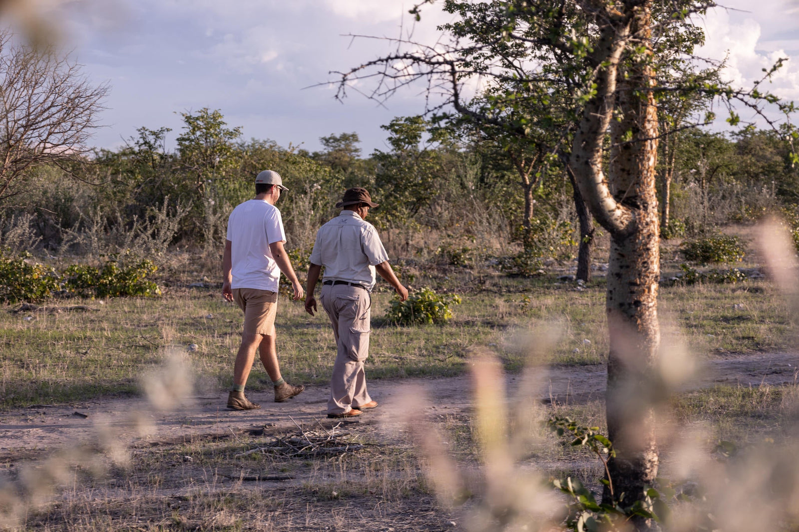 Guided Walk