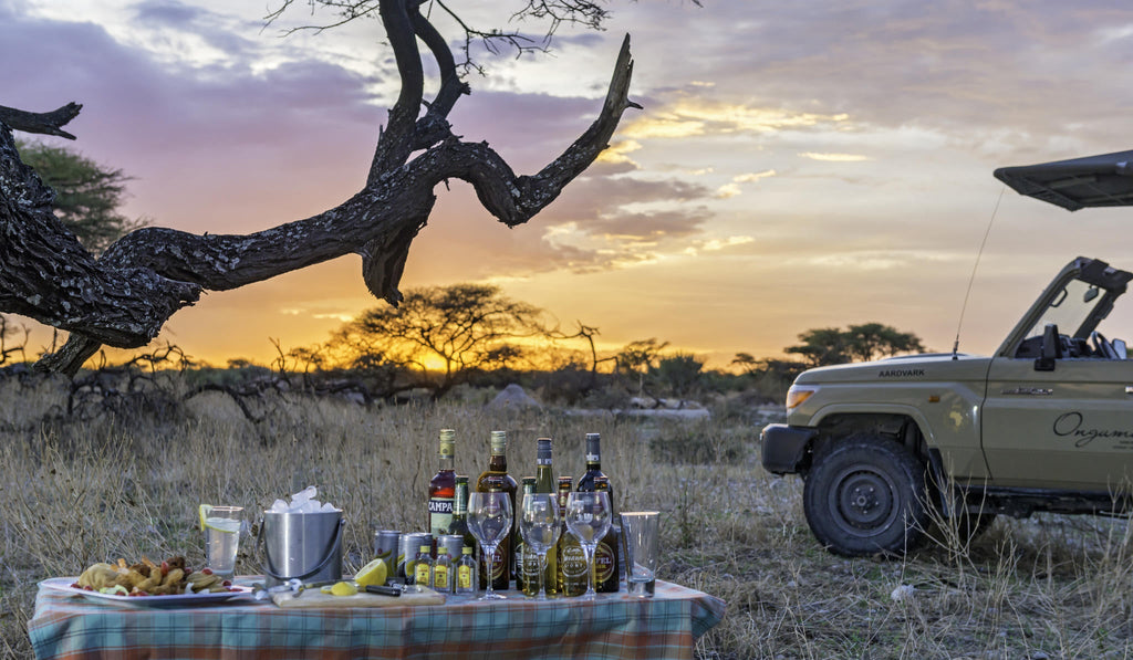 Onguma Sundowner Drive gallery image 6