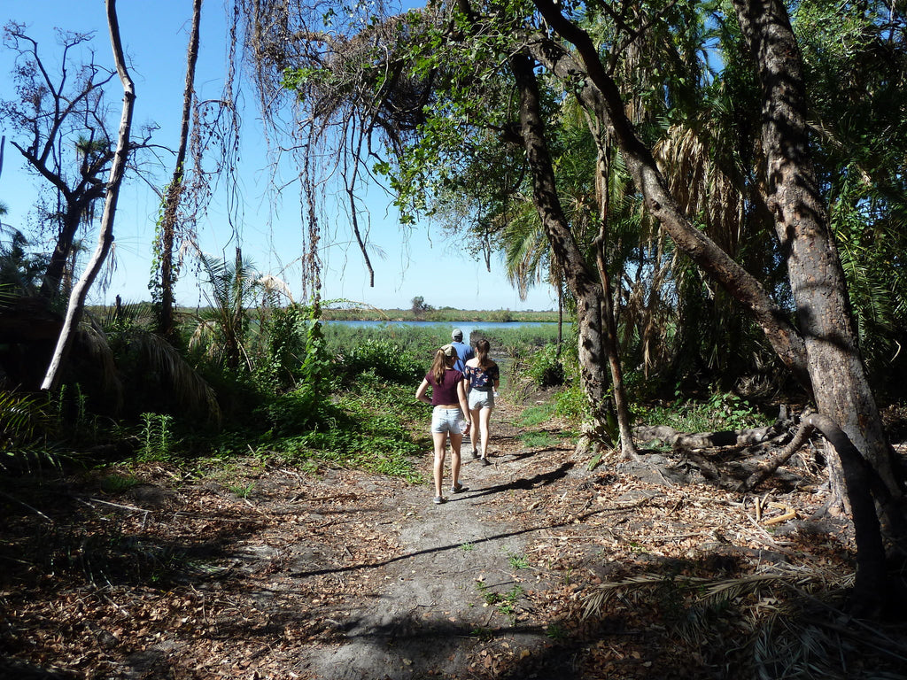 Guided Bush walks gallery image 16