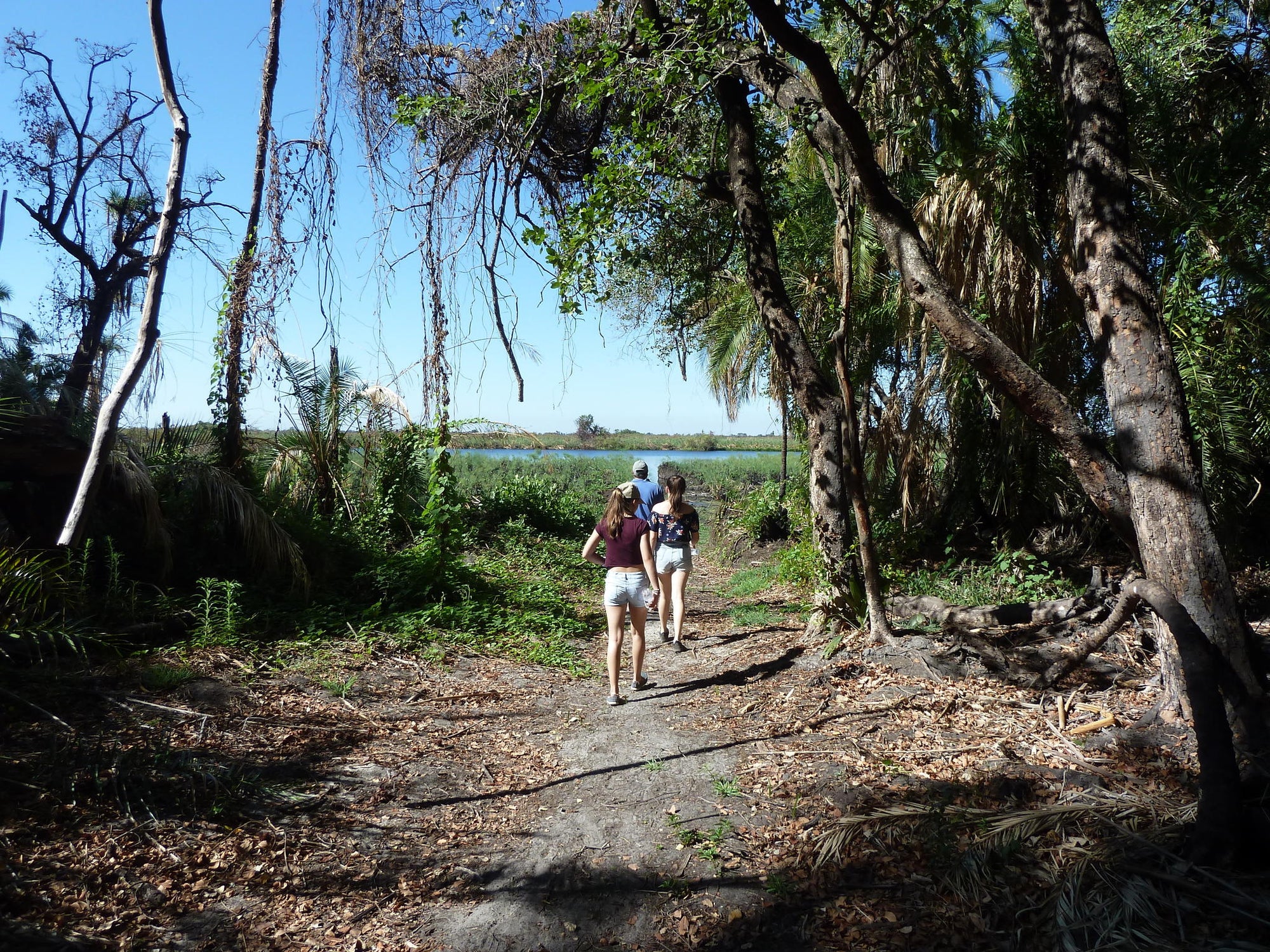 Guided Bush walks gallery image 16