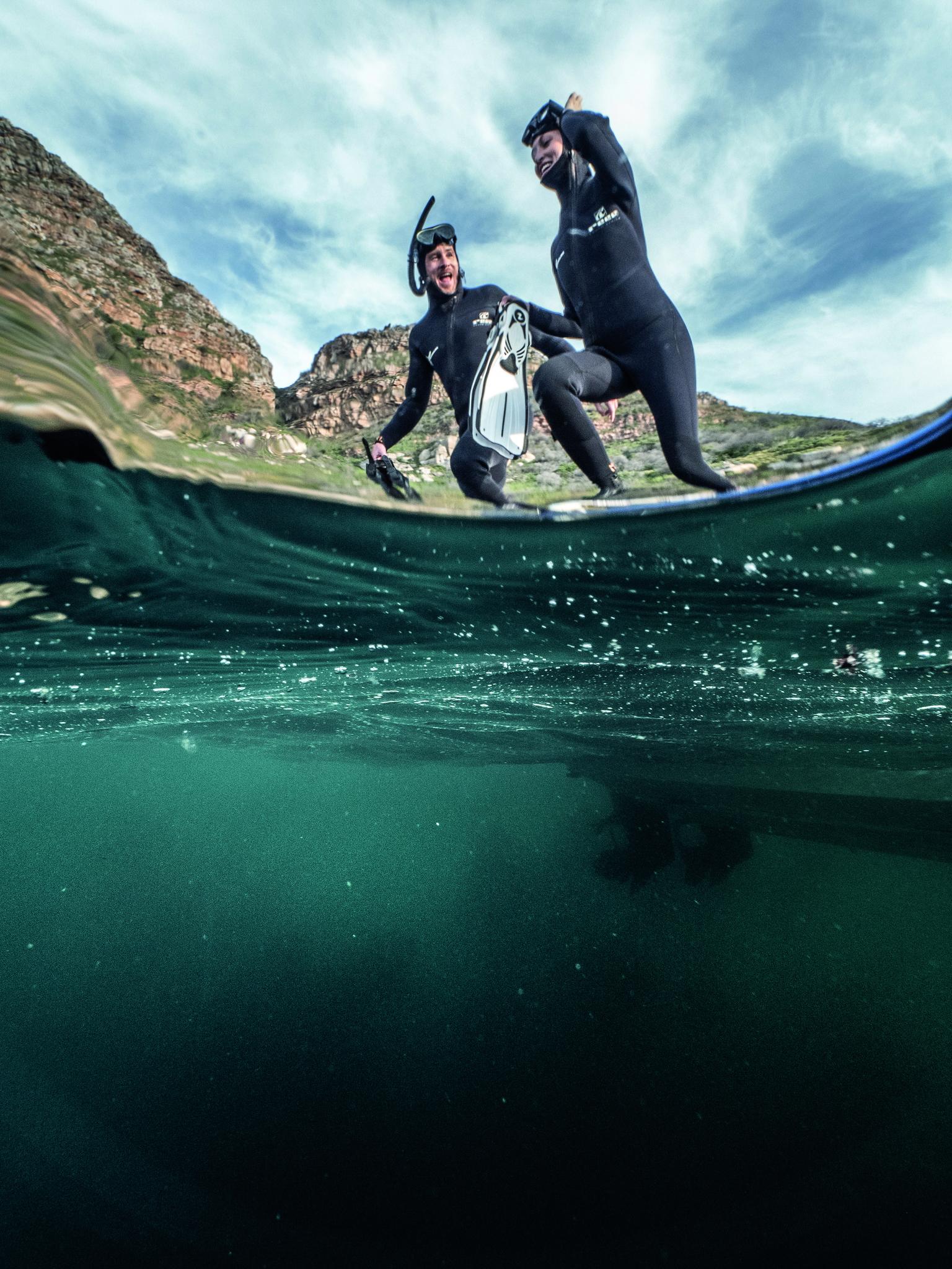 Marine Biologist Experience