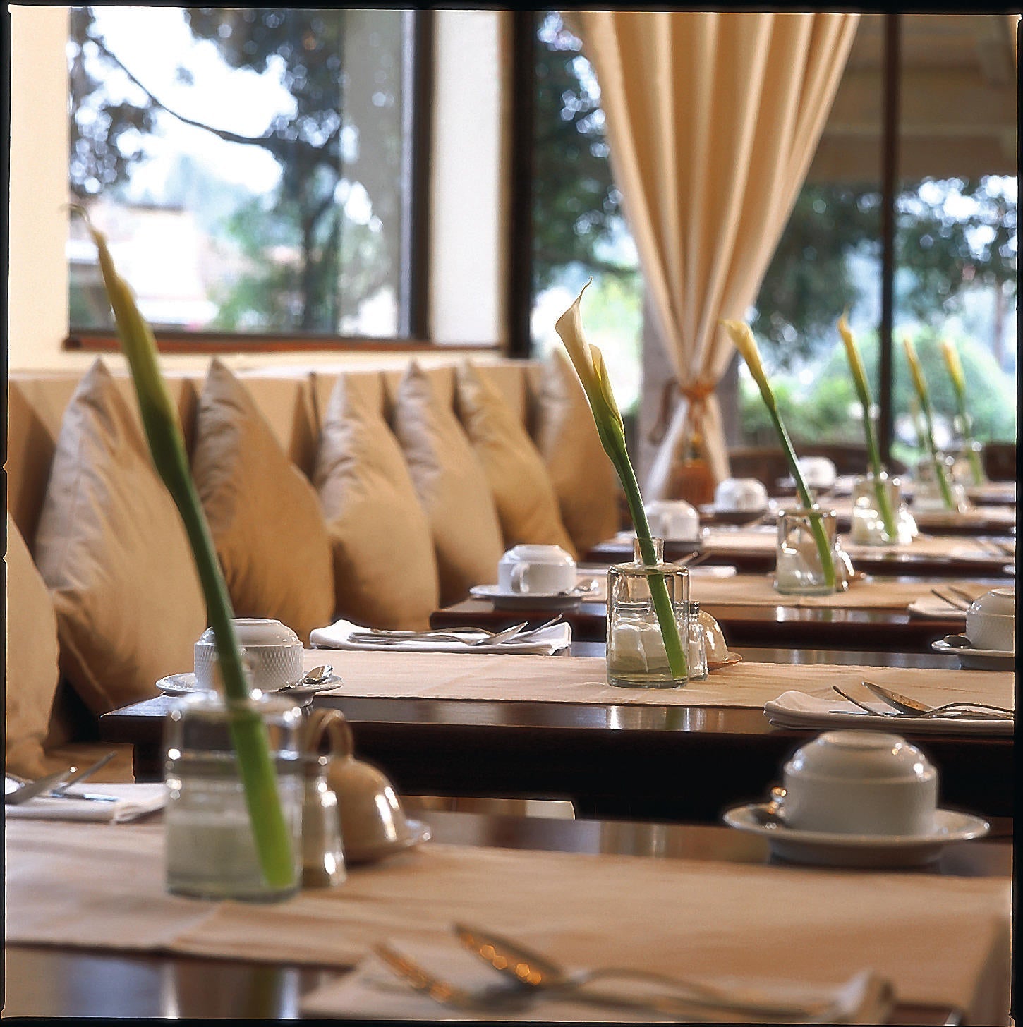 Palacina Bistro