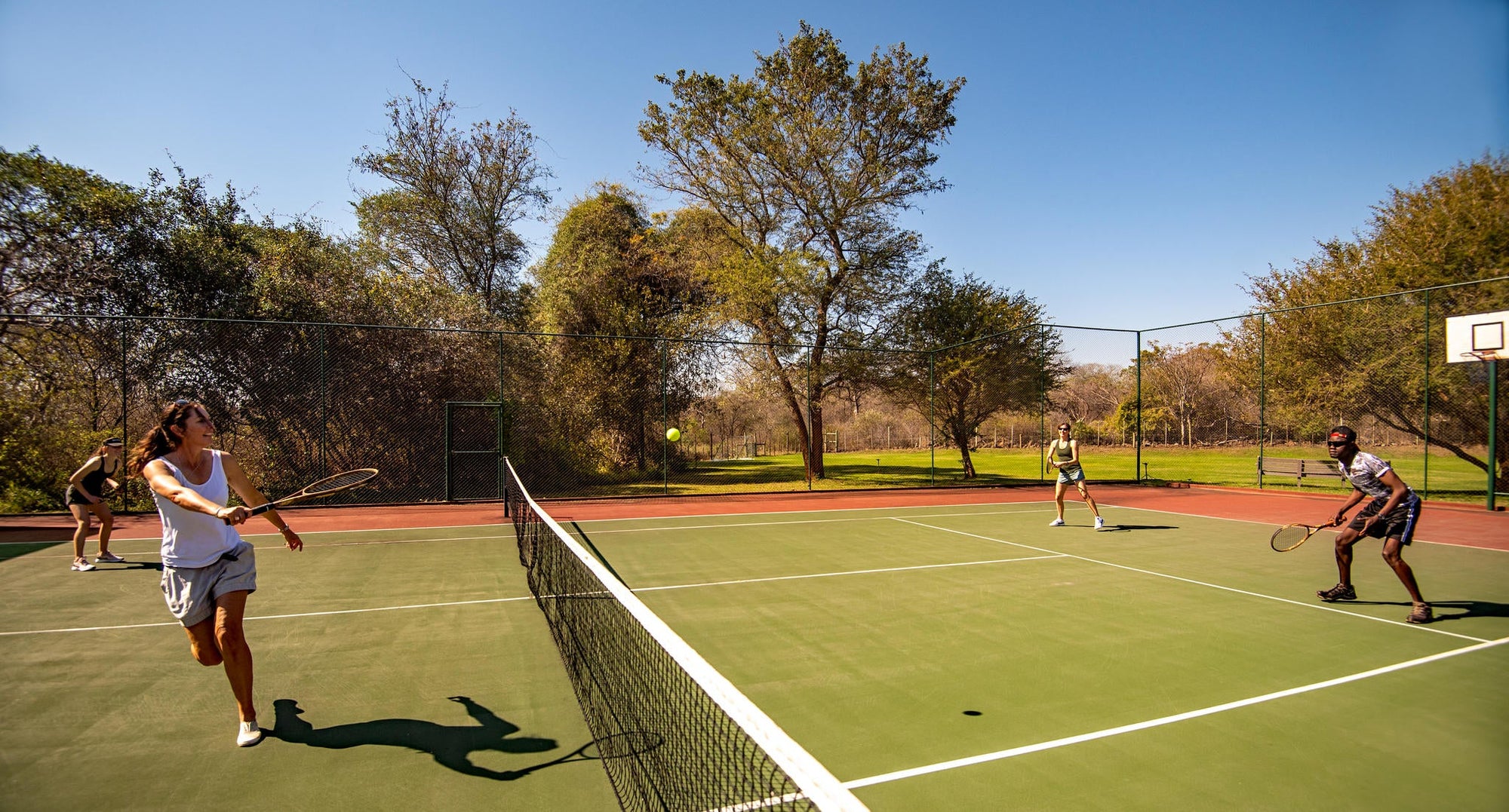 Tennis gallery image 3