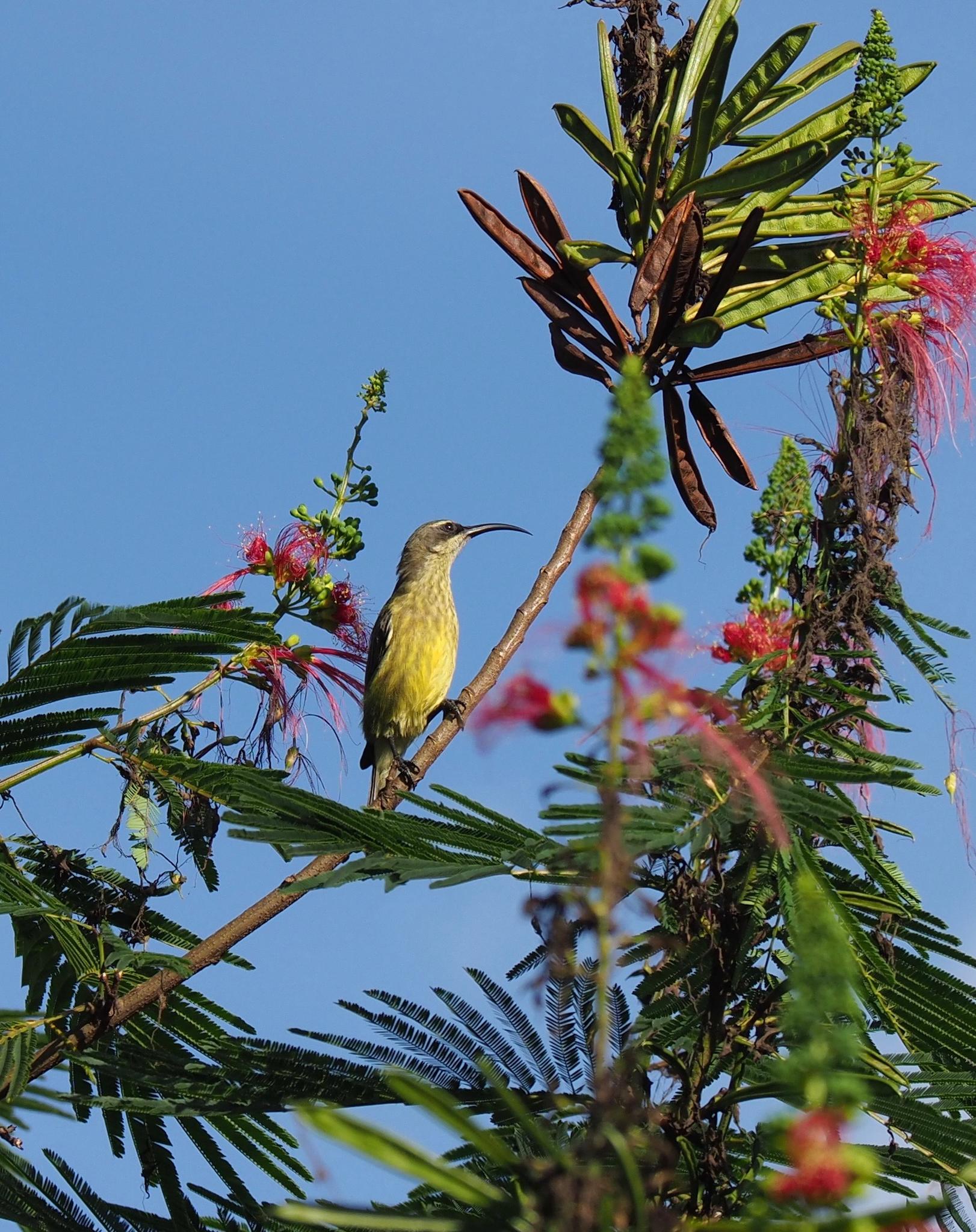 Bird Watching gallery image 2