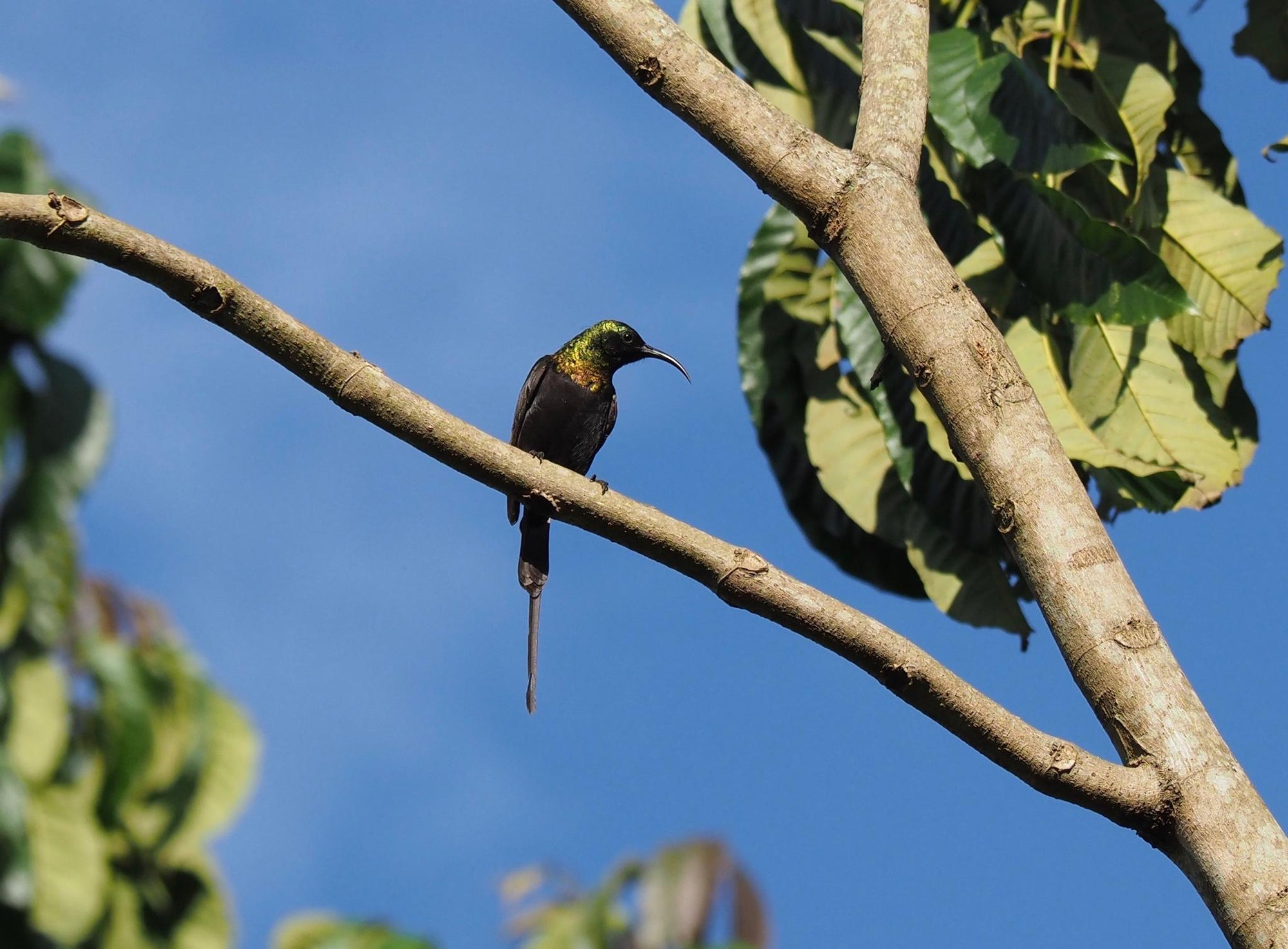 Bird Watching gallery image 3