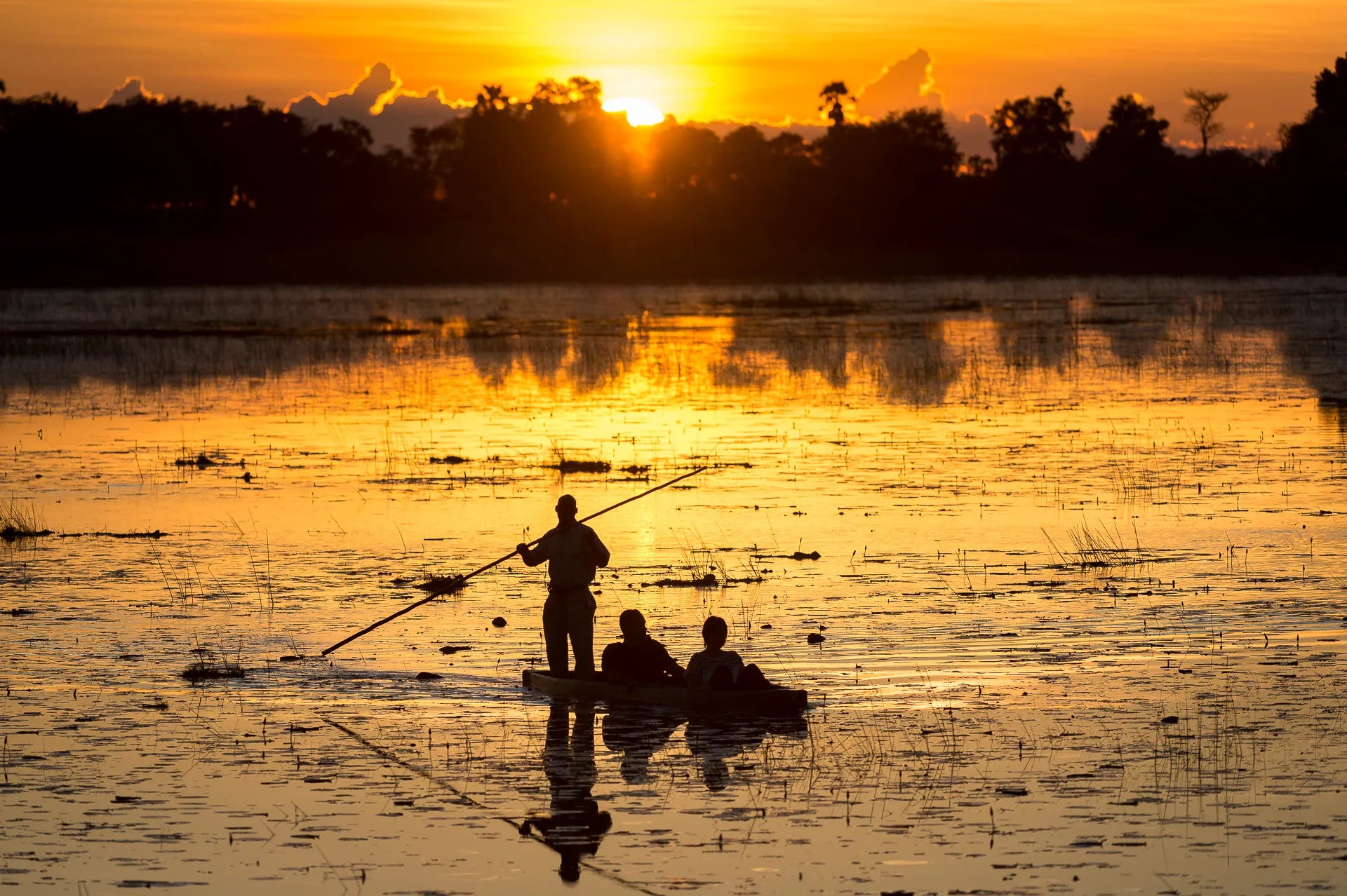 Wilderness Pelo at Pelo Camp, Okavango Delta, Botswana.