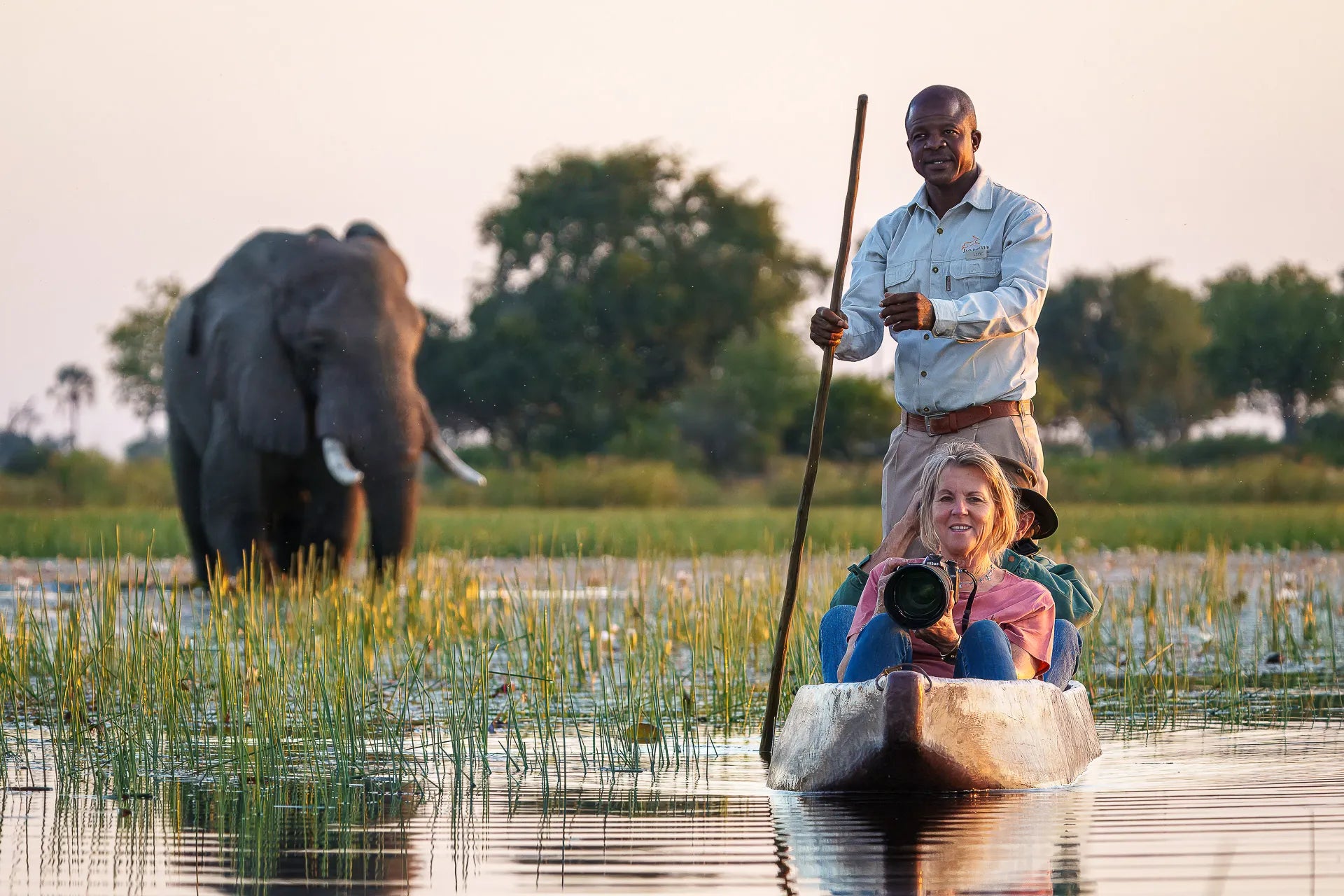 Wilderness Pelo at Pelo Camp, Okavango Delta, Botswana.